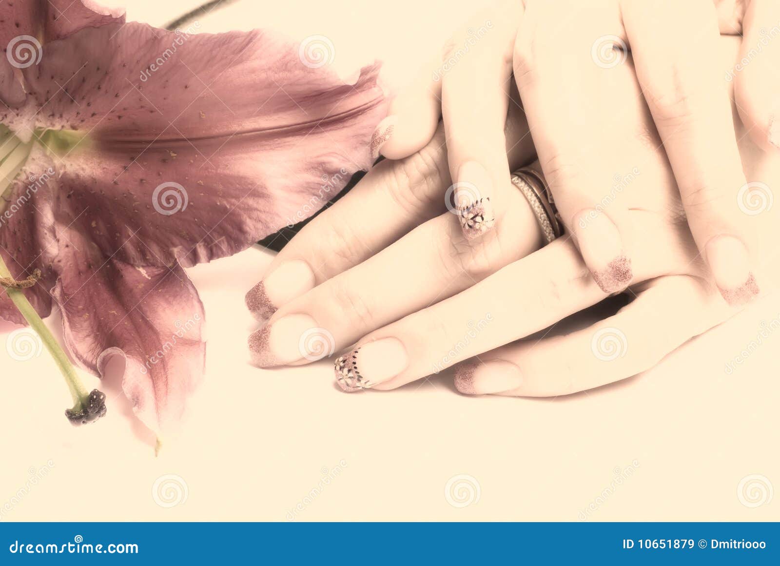 Woman hands and flower stock image. Image of people, caucasian 10651879