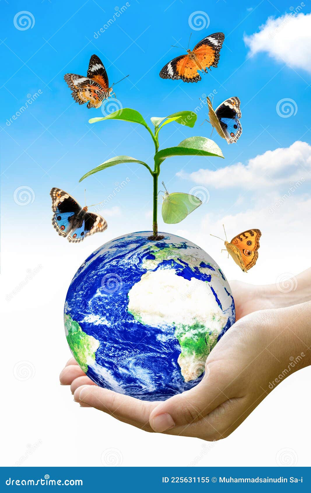 Woman Hands Holding World or Globe with Butterfly on Earth Day Stock ...
