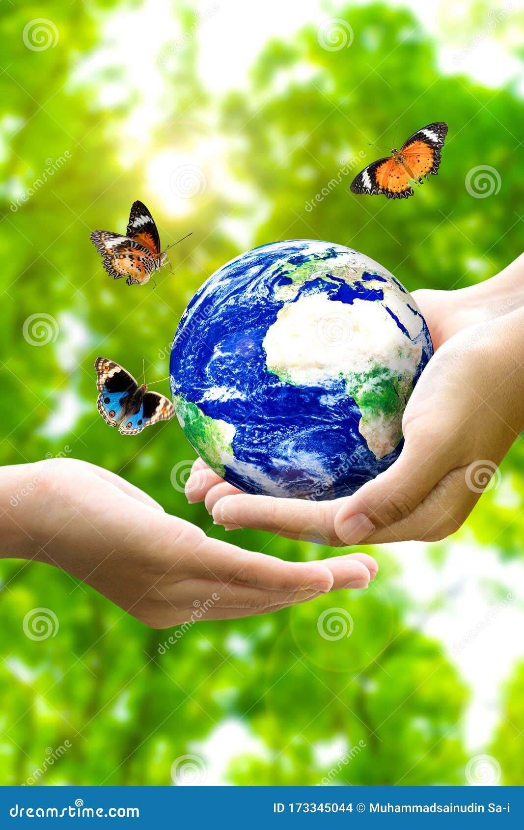 Woman Hands Holding World or Globe Give To Another Hand with Butterfly ...