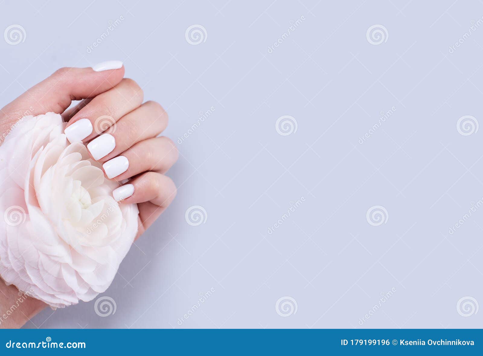 Woman Hands with Manicure and Wedding Ring among White Lace and Little ...