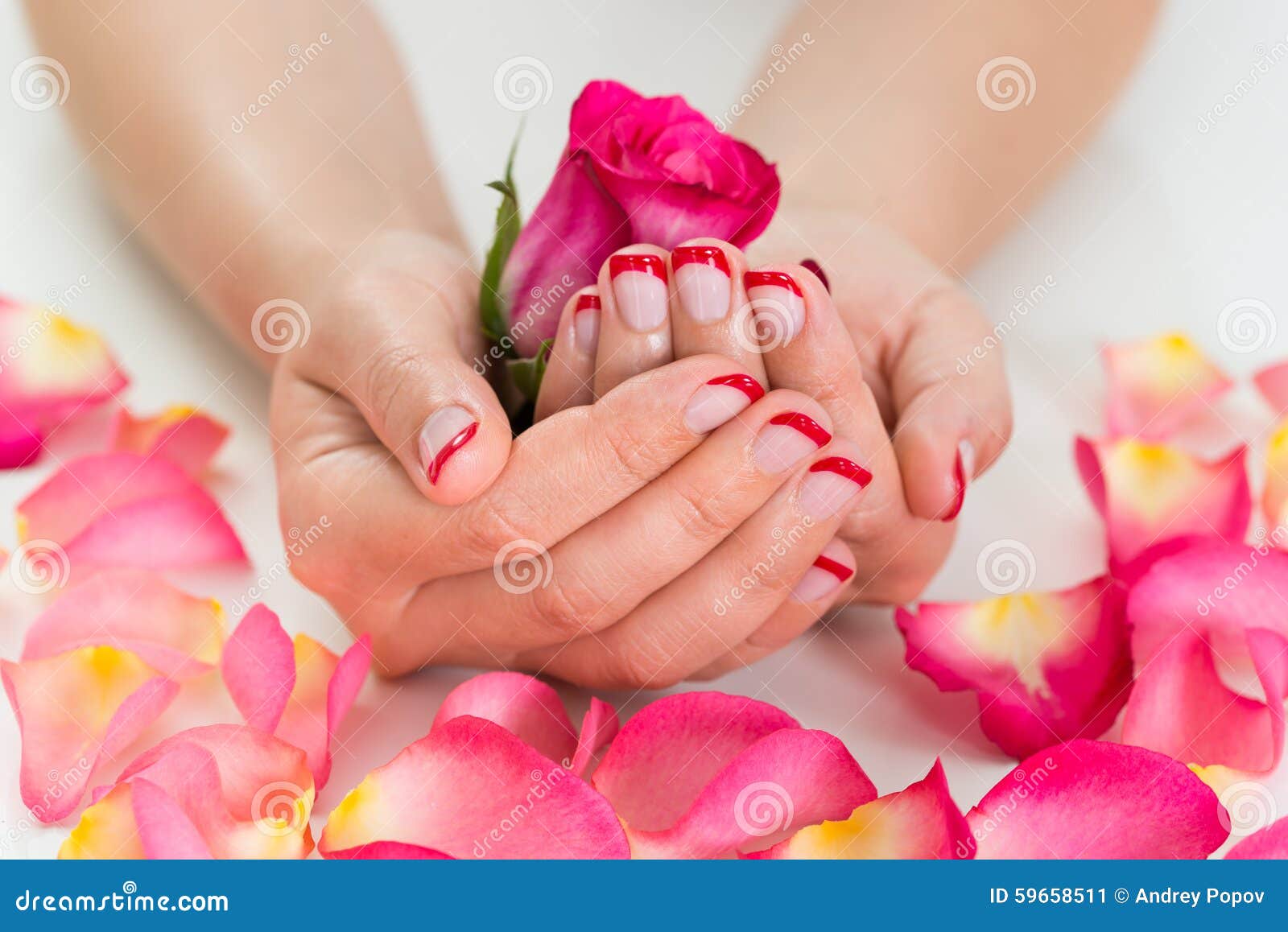 woman hands with nail varnish holding rose