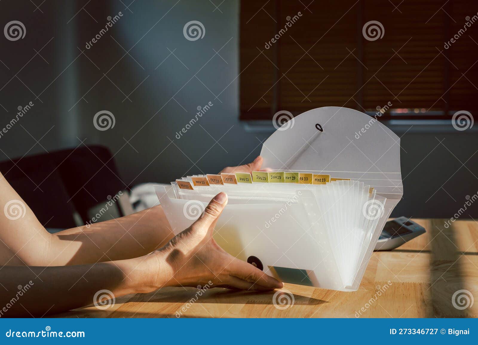 Woman Hands Organizing Folder on a Desk at Home. Stock Image Image of