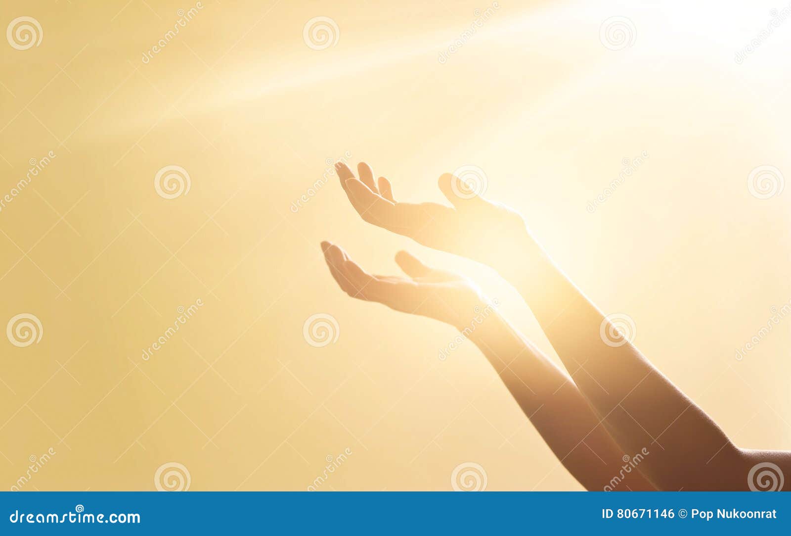 Woman hands praying for blessing from god on sunset background. Woman hands praying for blessing from god on sunlight and sunset background