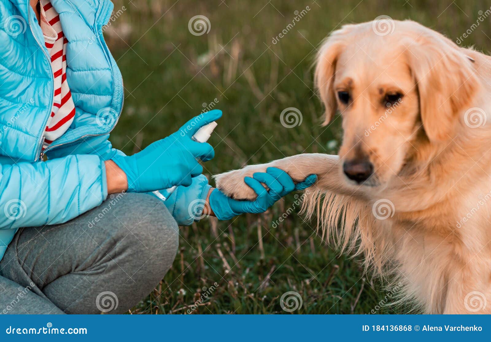 disinfect dog paws