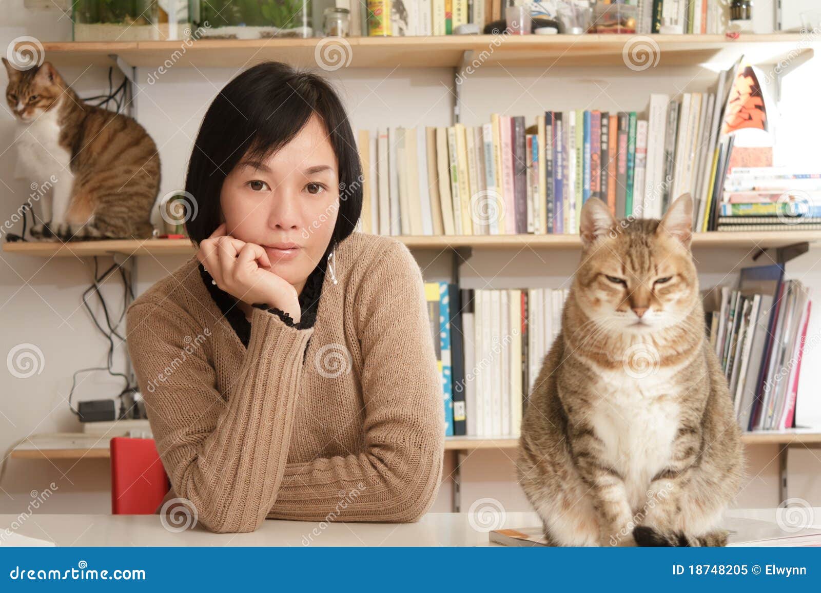 Woman with her cats stock image. Image of feline, animal 18748205