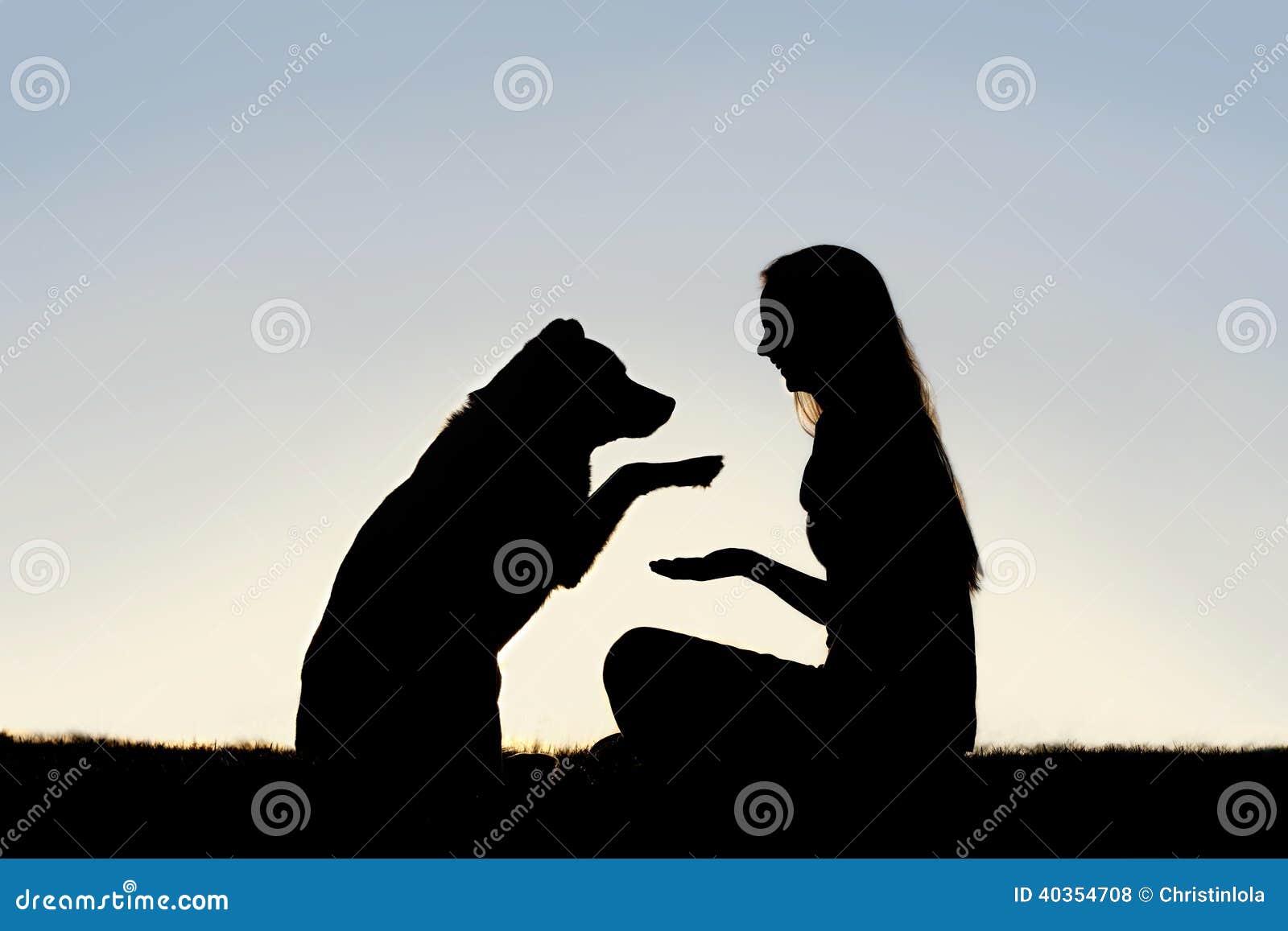 woman and her pet dog outside shaking hands silhou