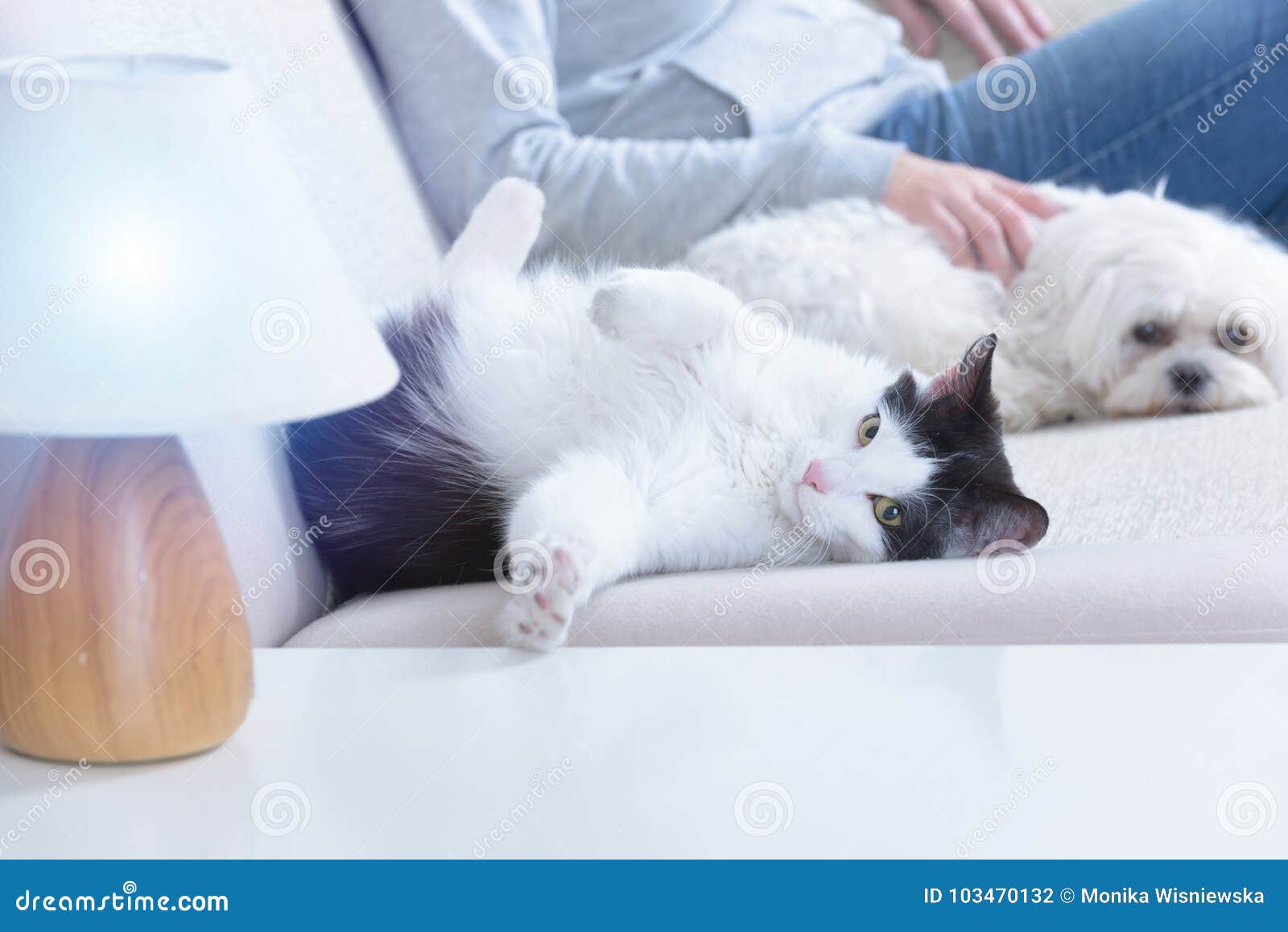 woman with her pets