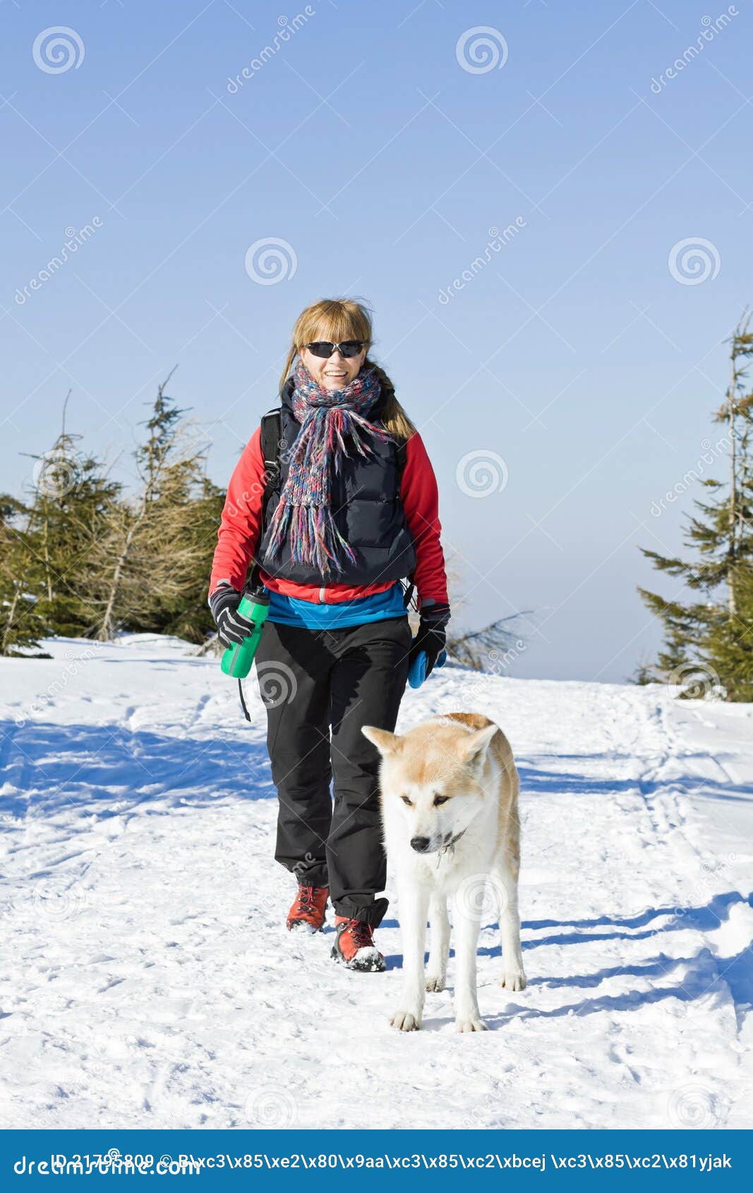 Woman Hiking with Dog in Winter Stock Image Image of landscape, smile