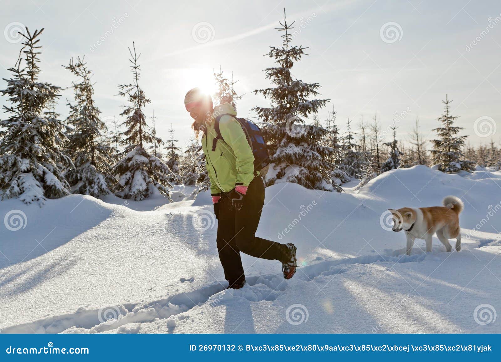 Woman Hiking with Dog in Winter Stock Photo Image of achievement