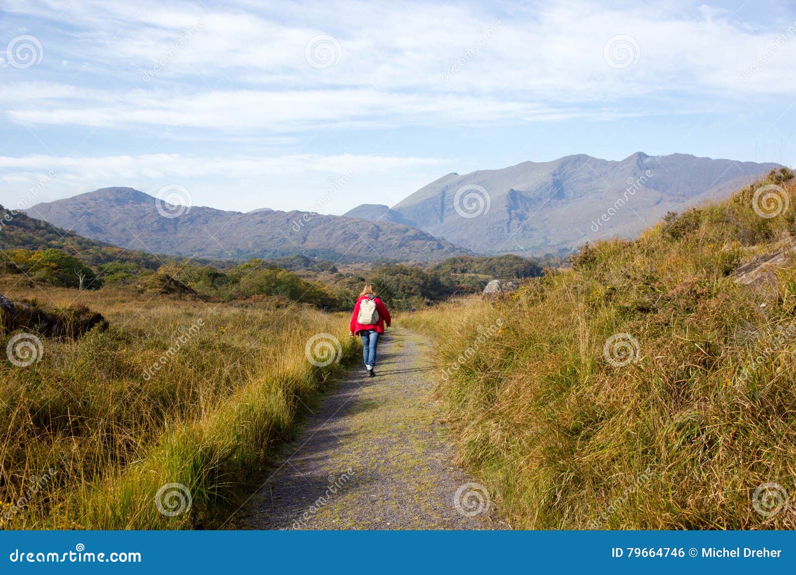 Woman On Hiking In Killarney National Park Stock Photo Image Of