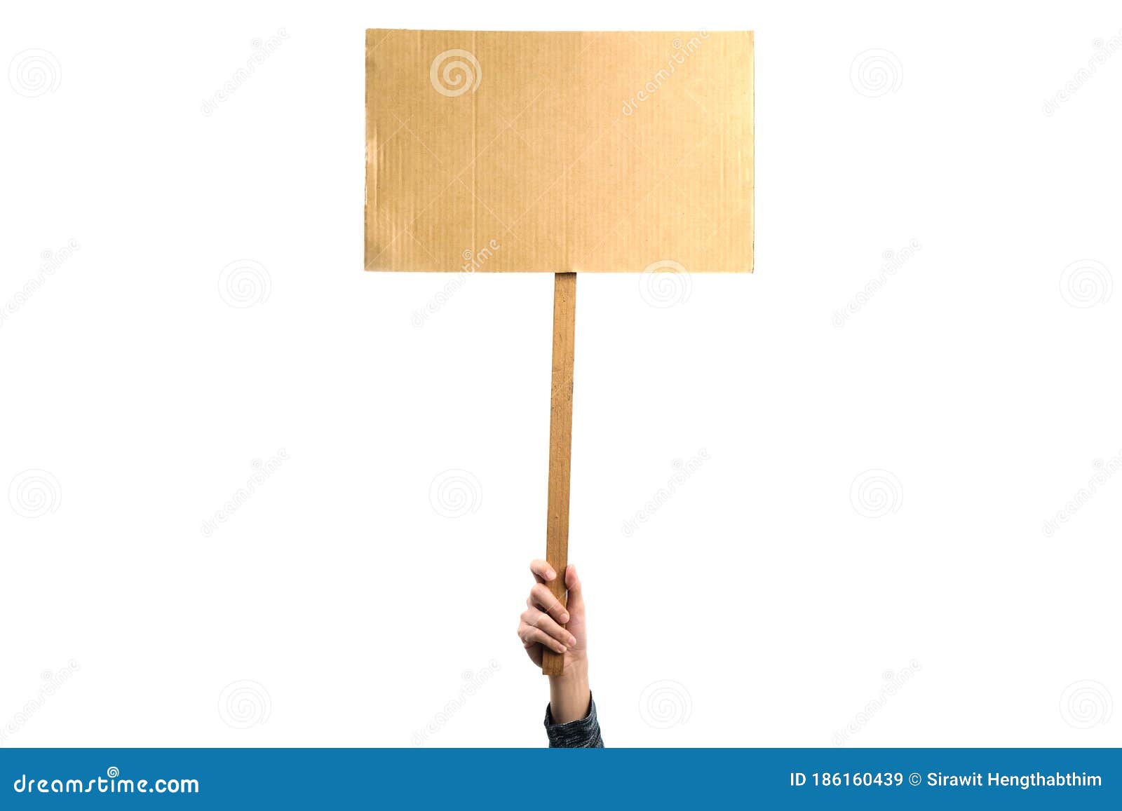 woman holding a blank placard mock up on wood stick to put the text at protesting,  on white background