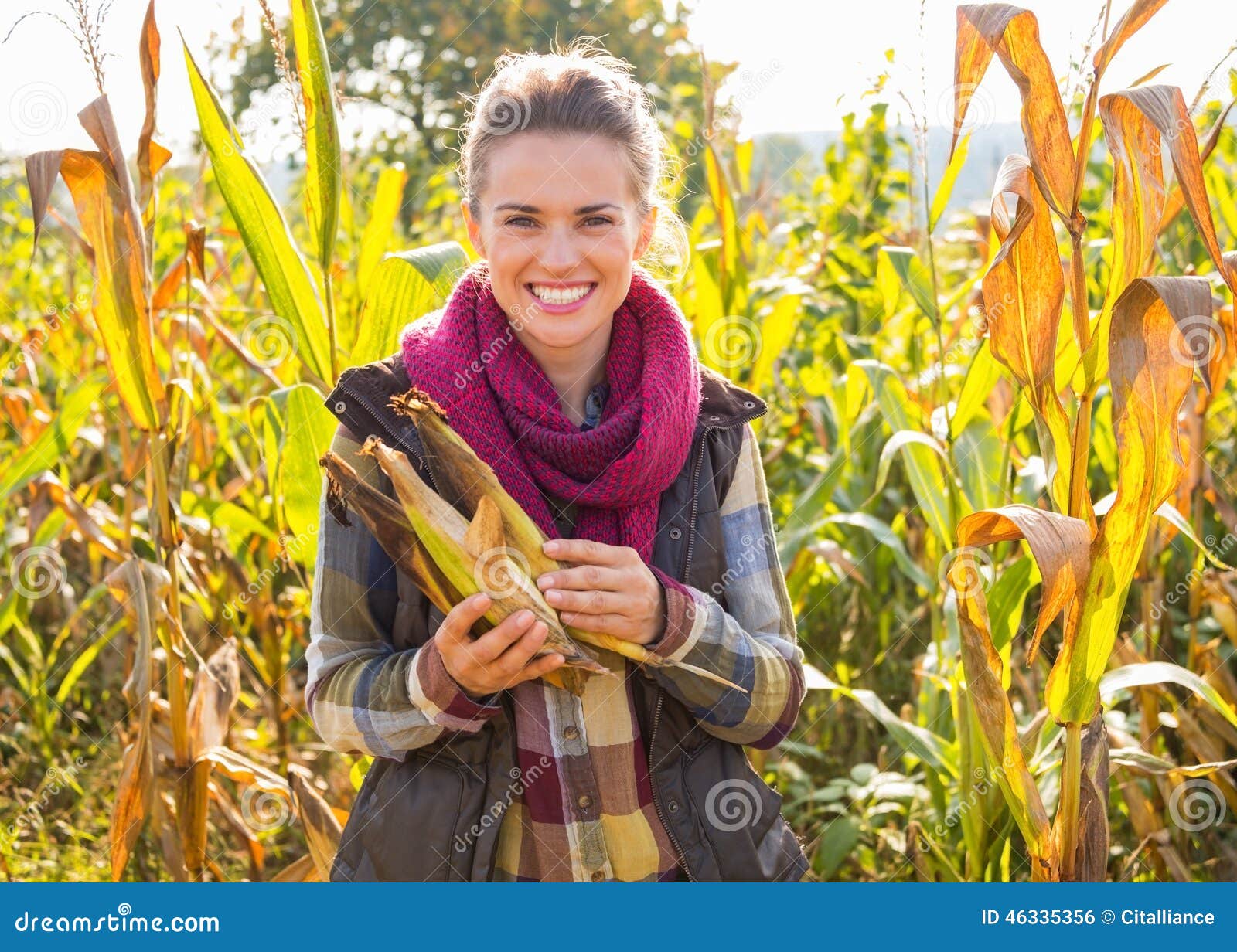 Woman Holding Corn while Standing in Cornfield Stock Photo Image of