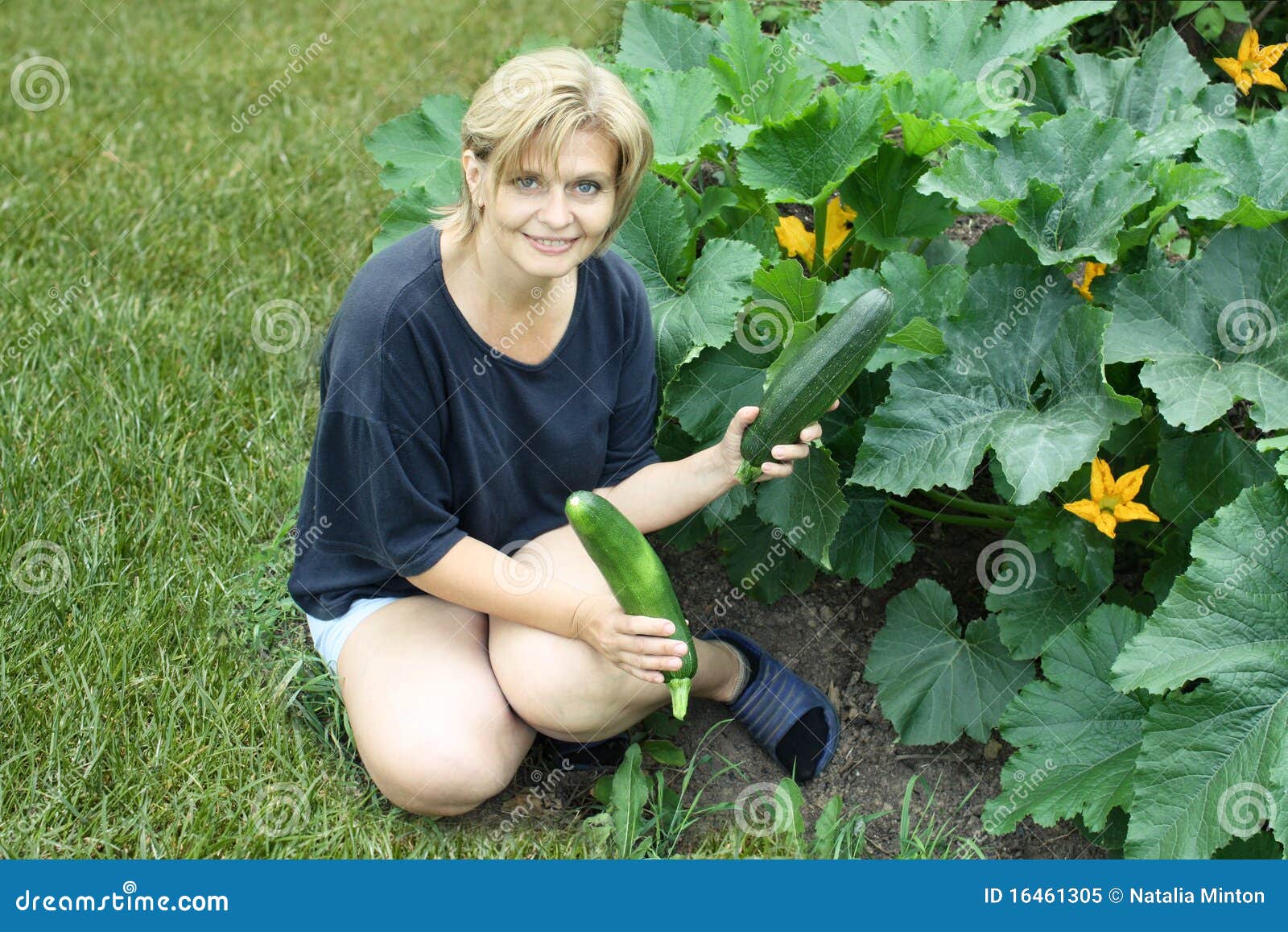 Woman Holding Courgette in Vegetable Garden Stock Image Image of