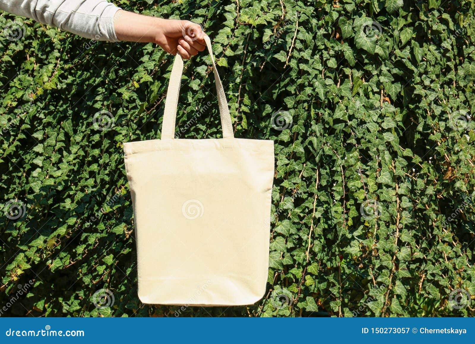 Woman Holding Eco Bag Outdoors, Closeup Stock Image - Image of female ...