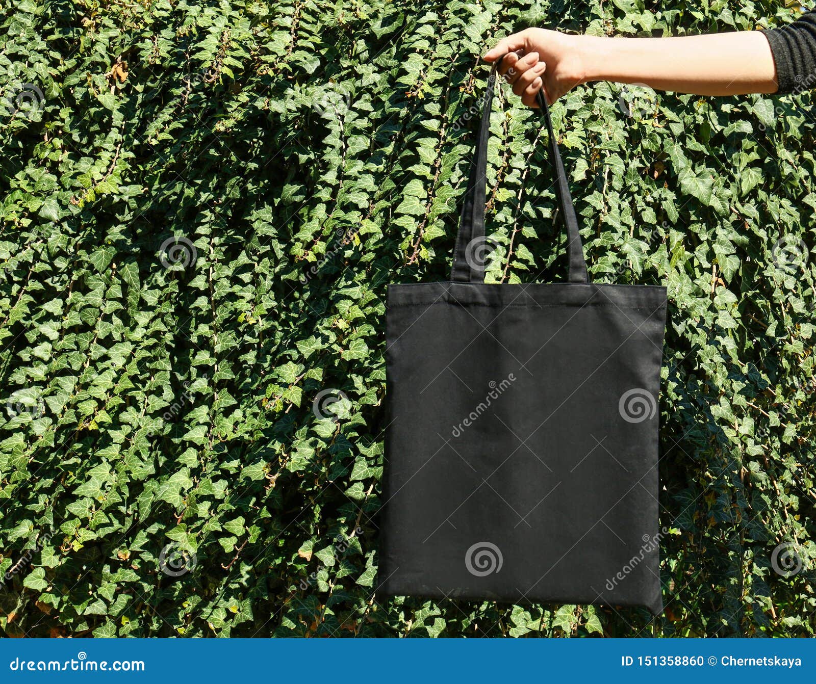 Woman Holding Eco Bag Outdoors. Mockup for Design Stock Photo - Image ...