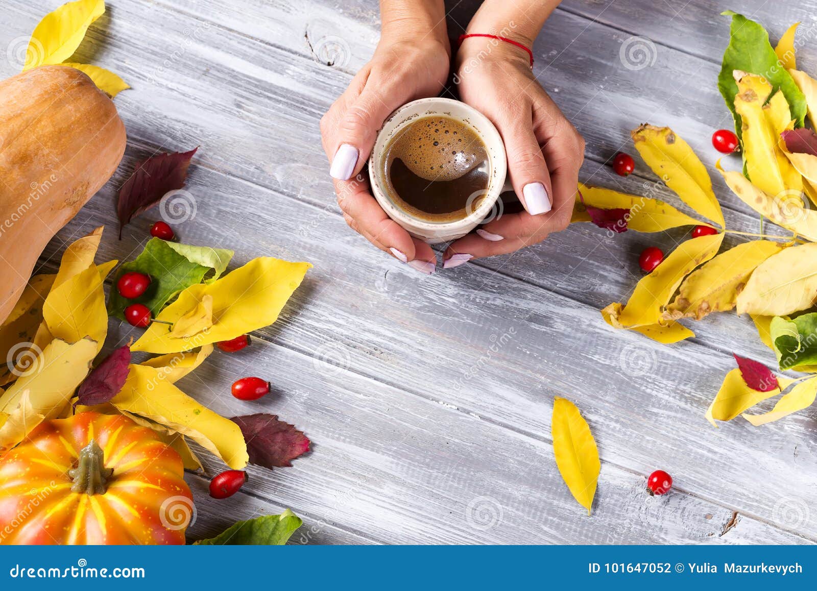 Woman Holding in Hands Hot Coffee Stock Photo - Image of female, girl