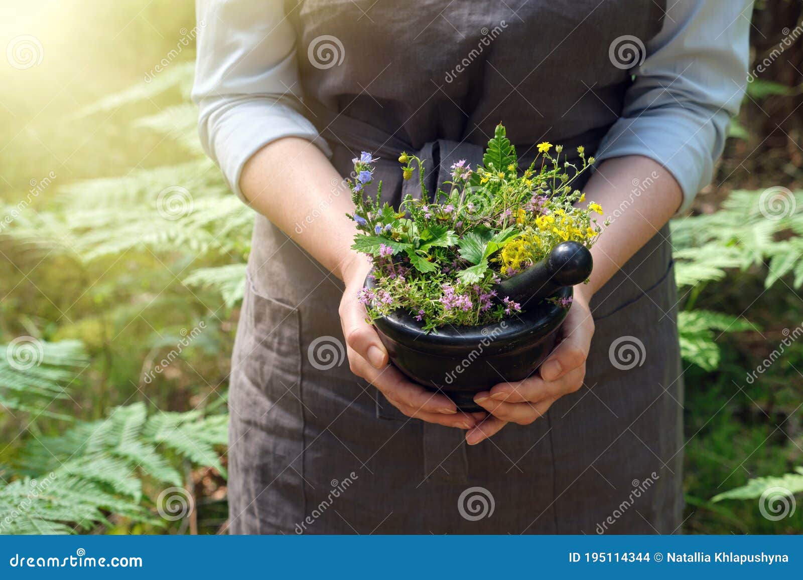 woman holding in her hands a mortar of medicinal herbs. herbalist woman gathering healing plants in forest