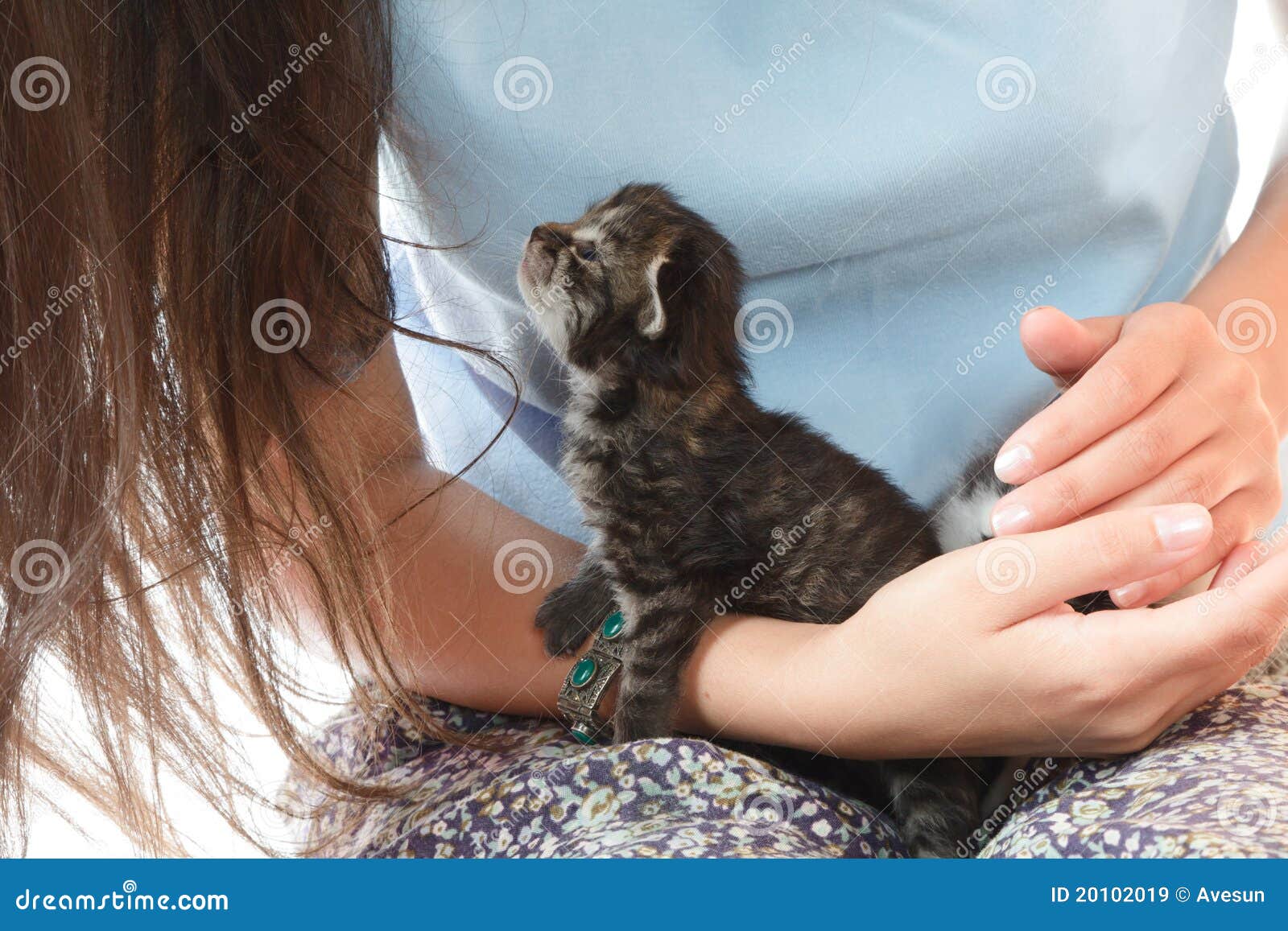 Woman holding a kitten stock image. Image of holding 20102019