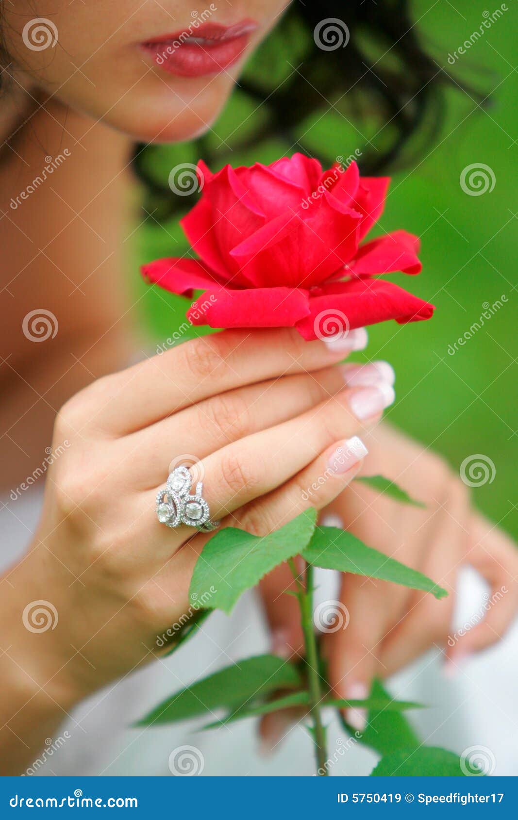 Woman Holding Single Red Rose Stock Image Image Of Affectionate