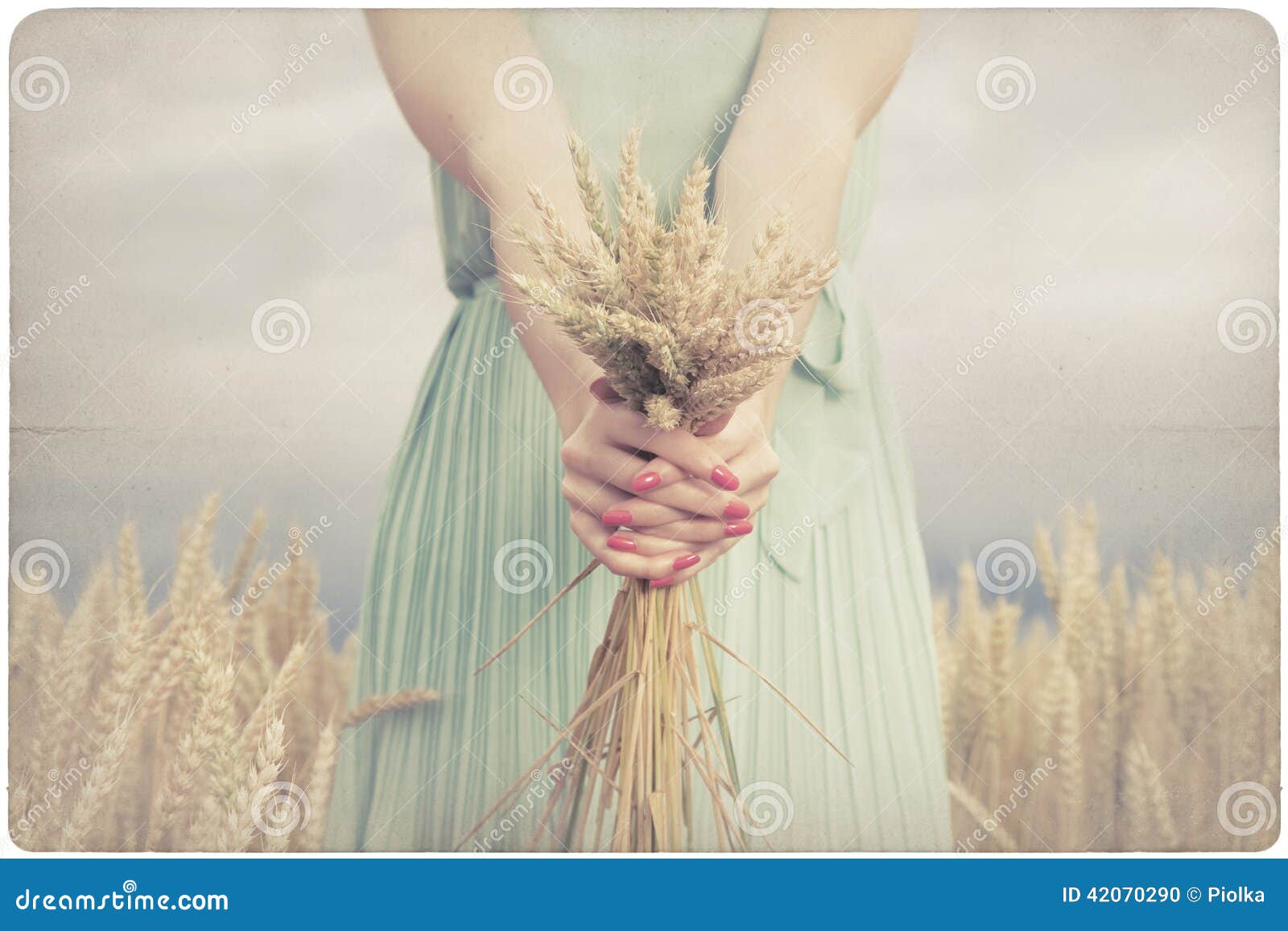 woman holding some corn spikes