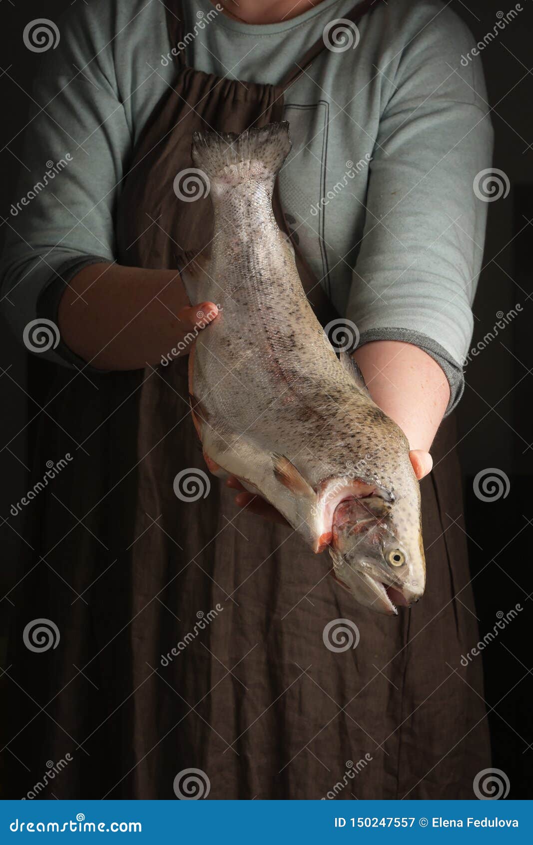 Woman Holding a Trout in Hand. Rustic Style Stock Image Image of