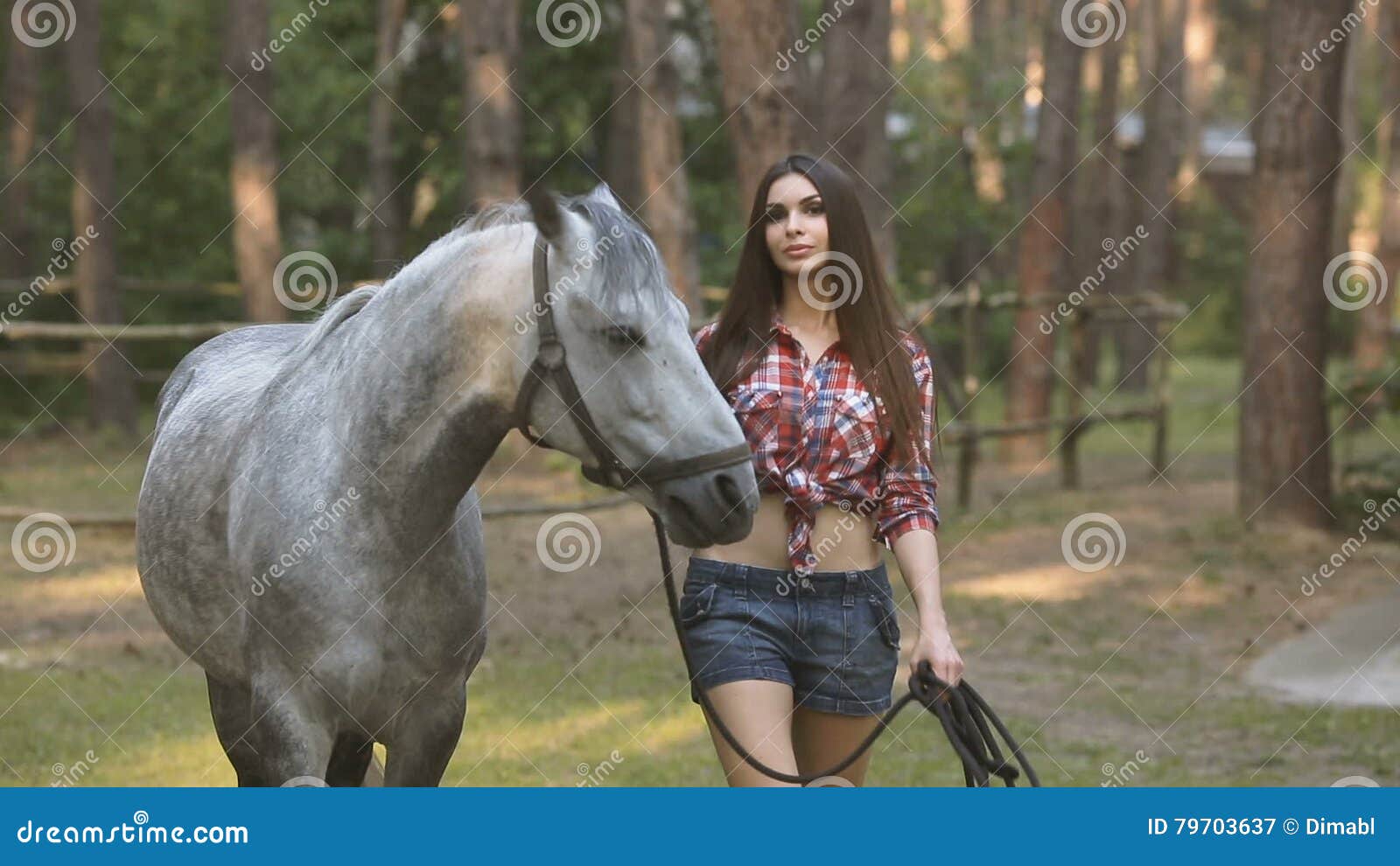 Horse And Girls Blue Full Sex - Woman and Horse. Casual Style Stock Video - Video of activity, beauty:  79703637