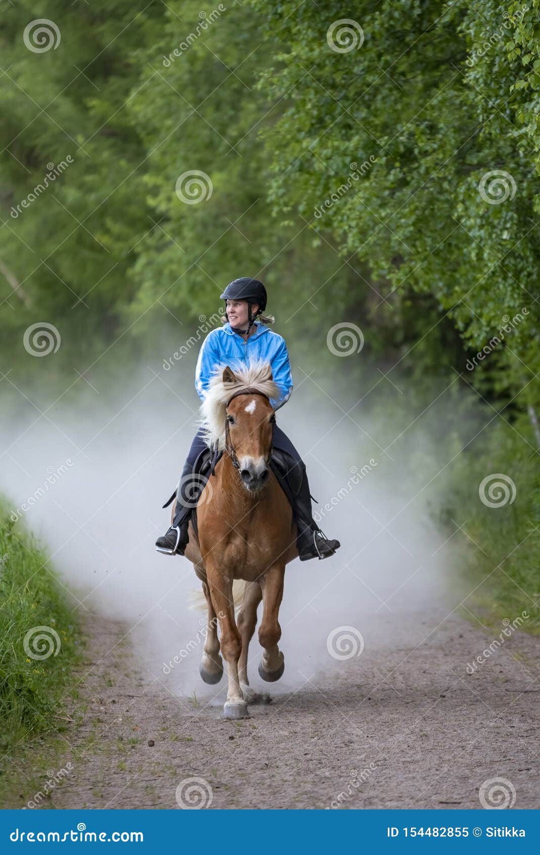 woman horseback riding in forest parth
