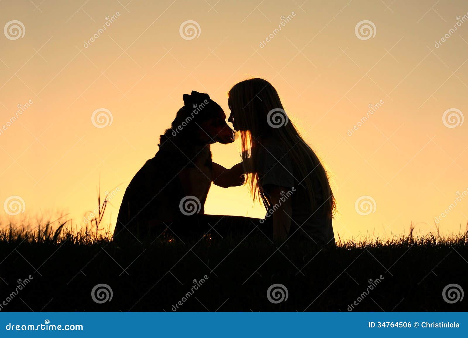 woman hugging dog silhouette