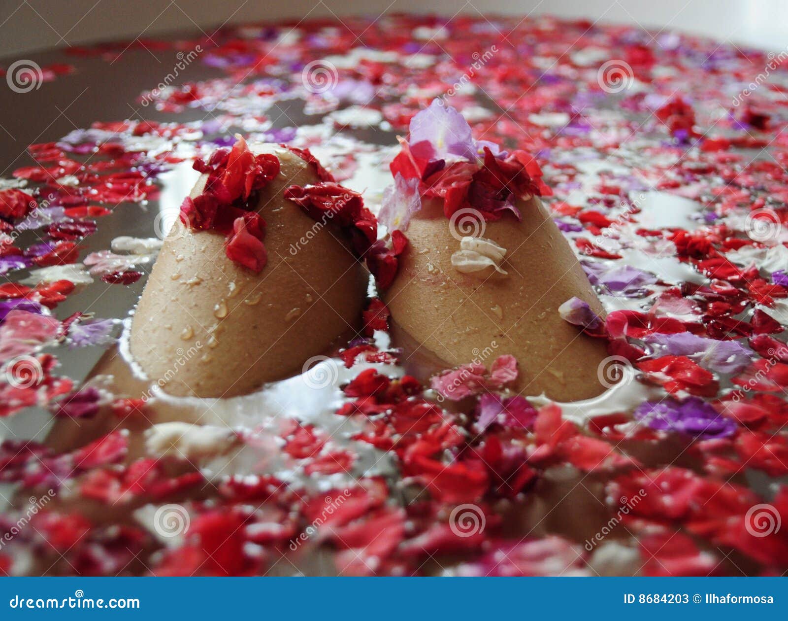 Woman Knees in Rose Petals Bath Stock Image Image of fragrance, pink