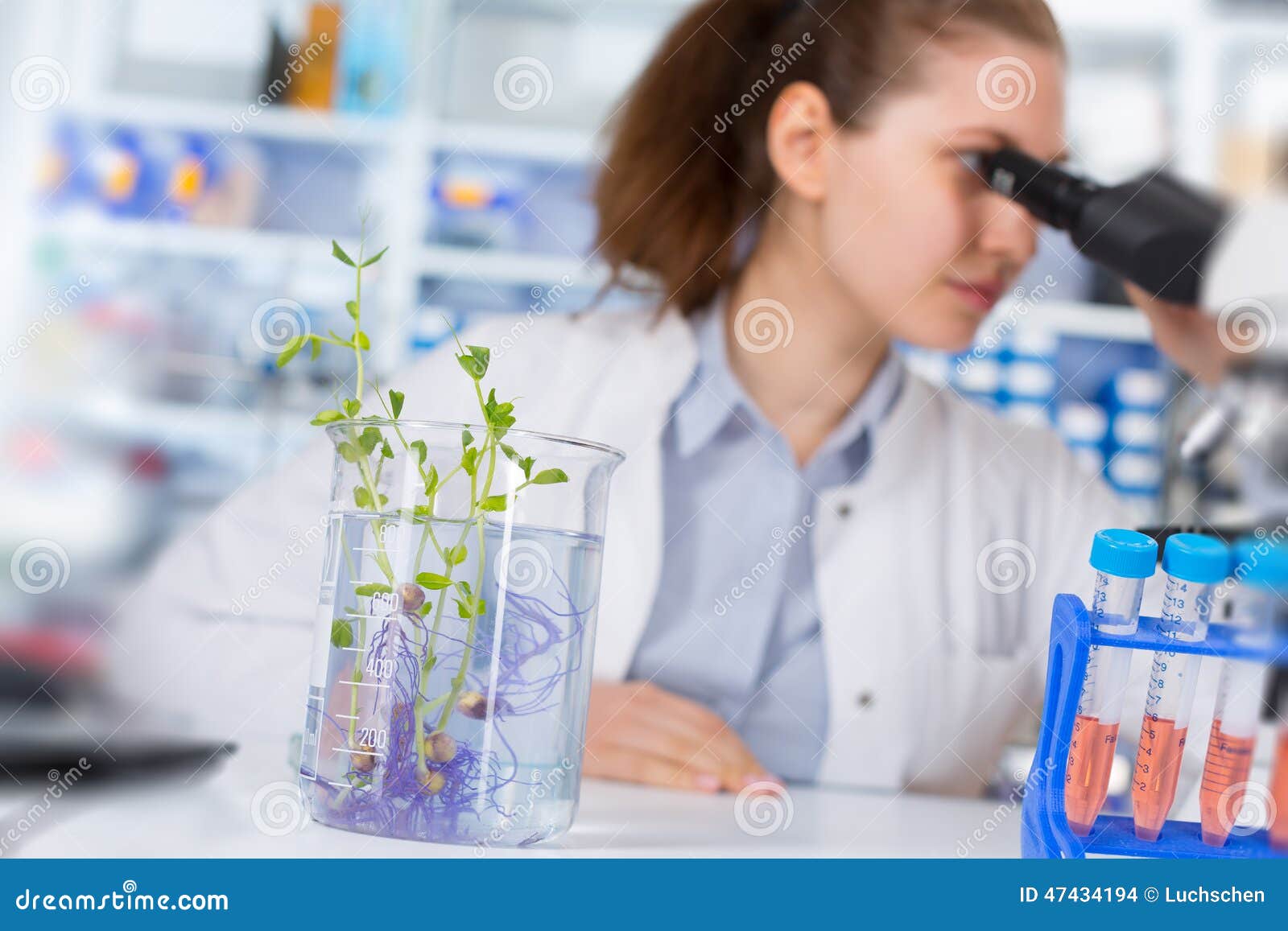 Woman in the Laboratory Plant Stock Photo Image of plant