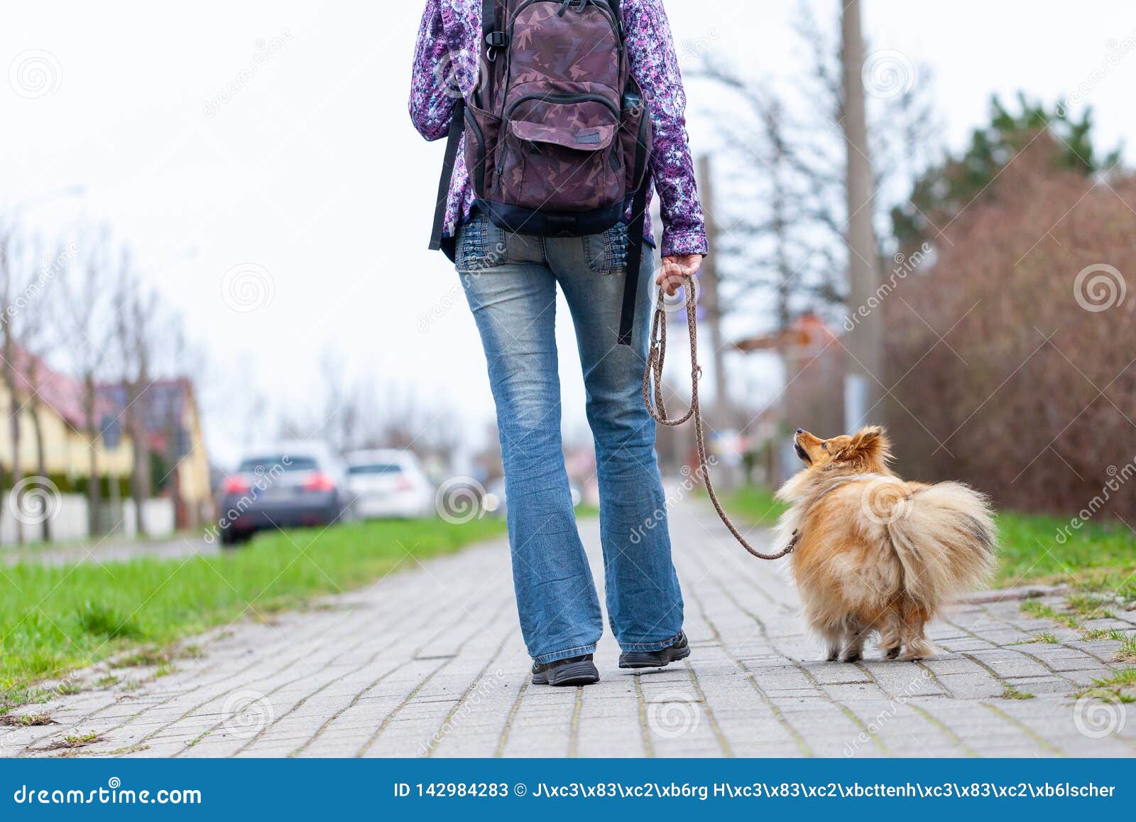Woman Leads Her Dog on a Leash Stock Image Image of collar, relaxed