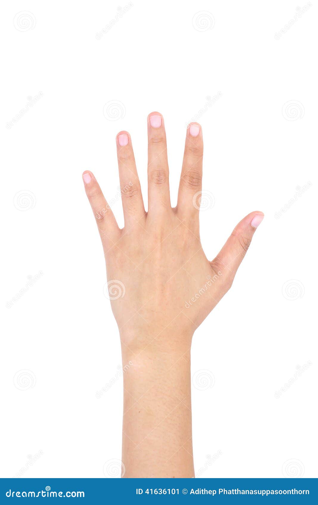 woman left hand showing the five fingers.