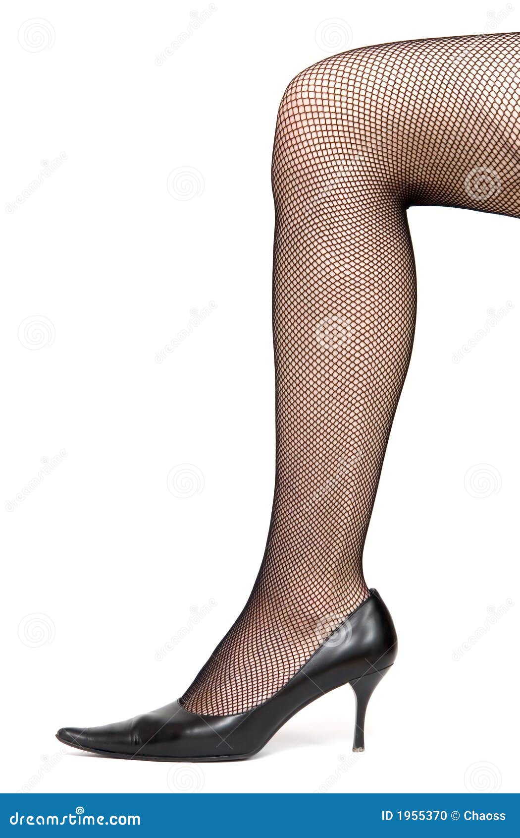 Woman leg with stockings stock photo. Image of curve, girl 1955370