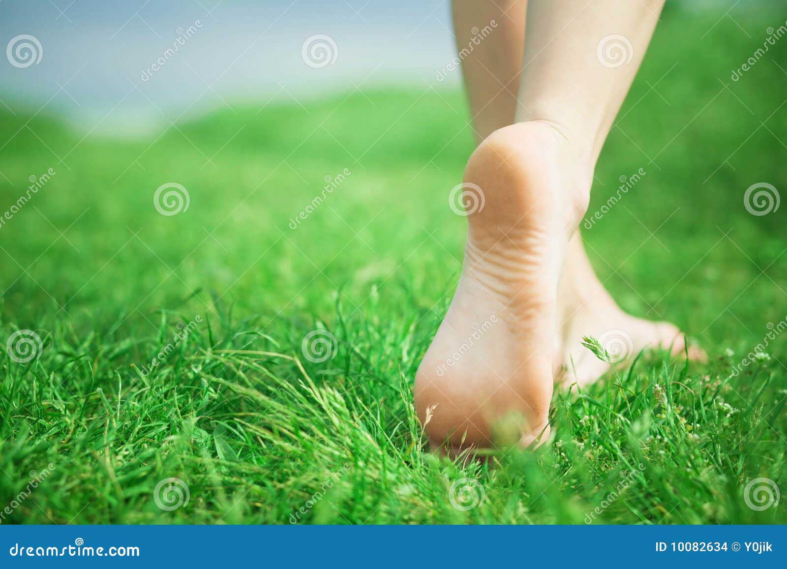 131,510 Legs Green Stock Photos - Free & Royalty-Free Stock Photos from  Dreamstime