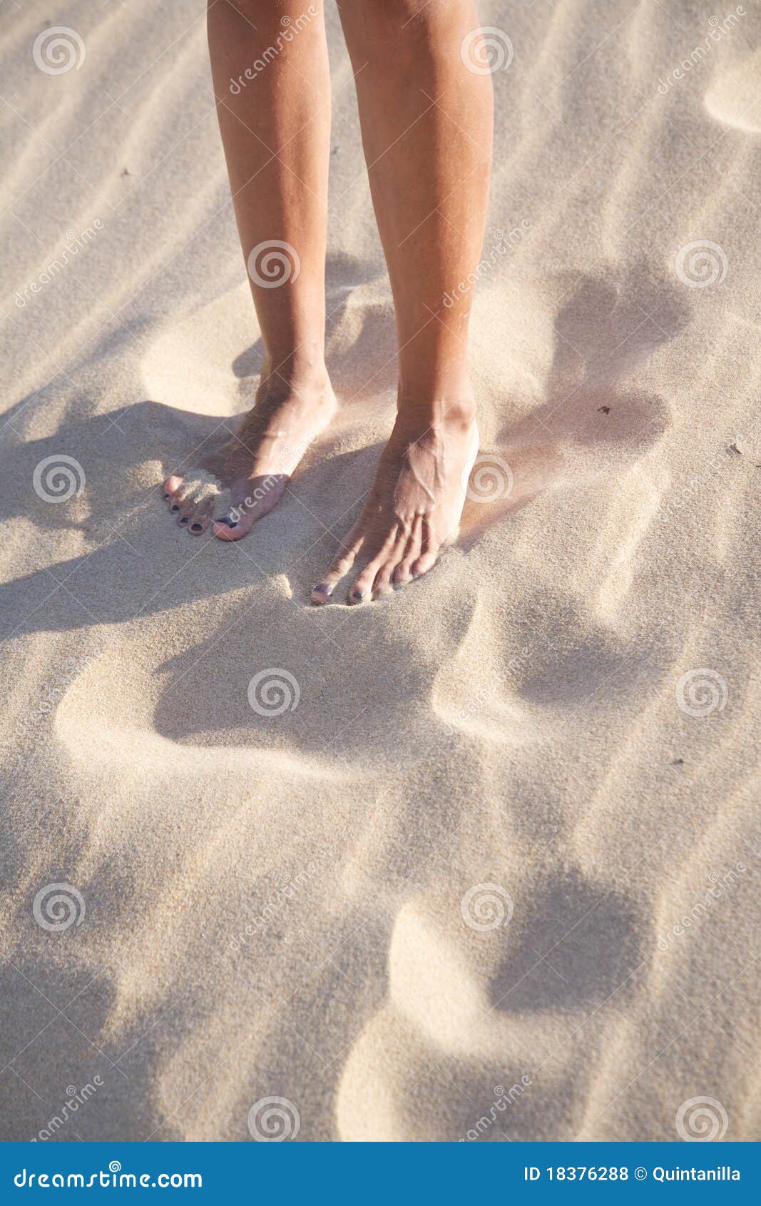 Woman legs on sand beach stock photo. Image of green - 18376288