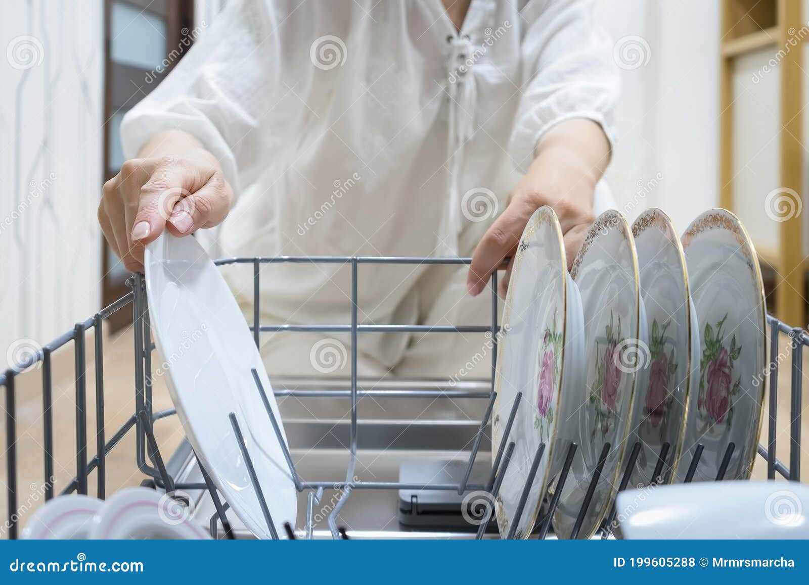 Woman Loading Dishwasher. View from the Inside of the Dishwashing