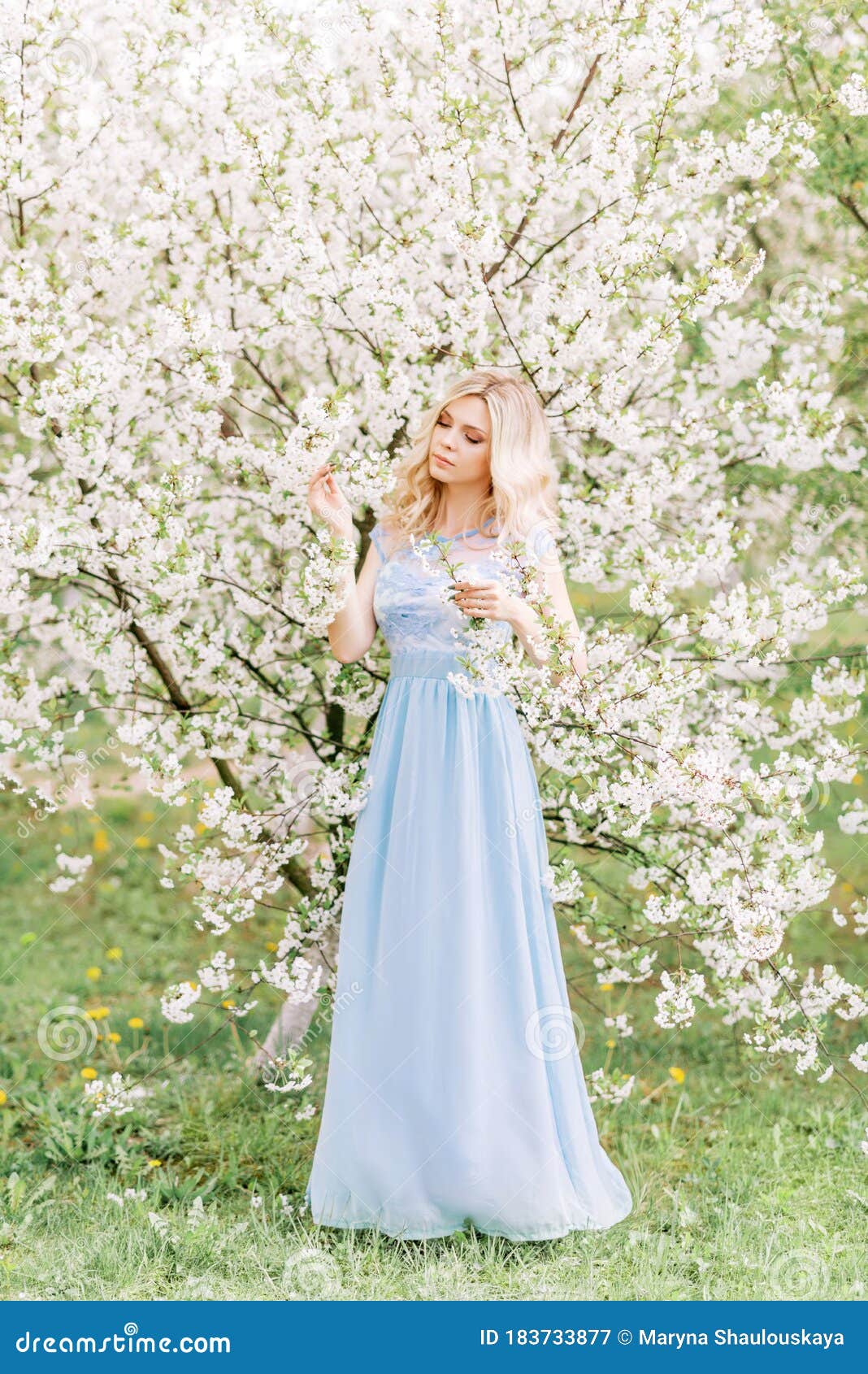 Woman in a Long Blue Dress in a Spring Garden. Tender Photo with White ...