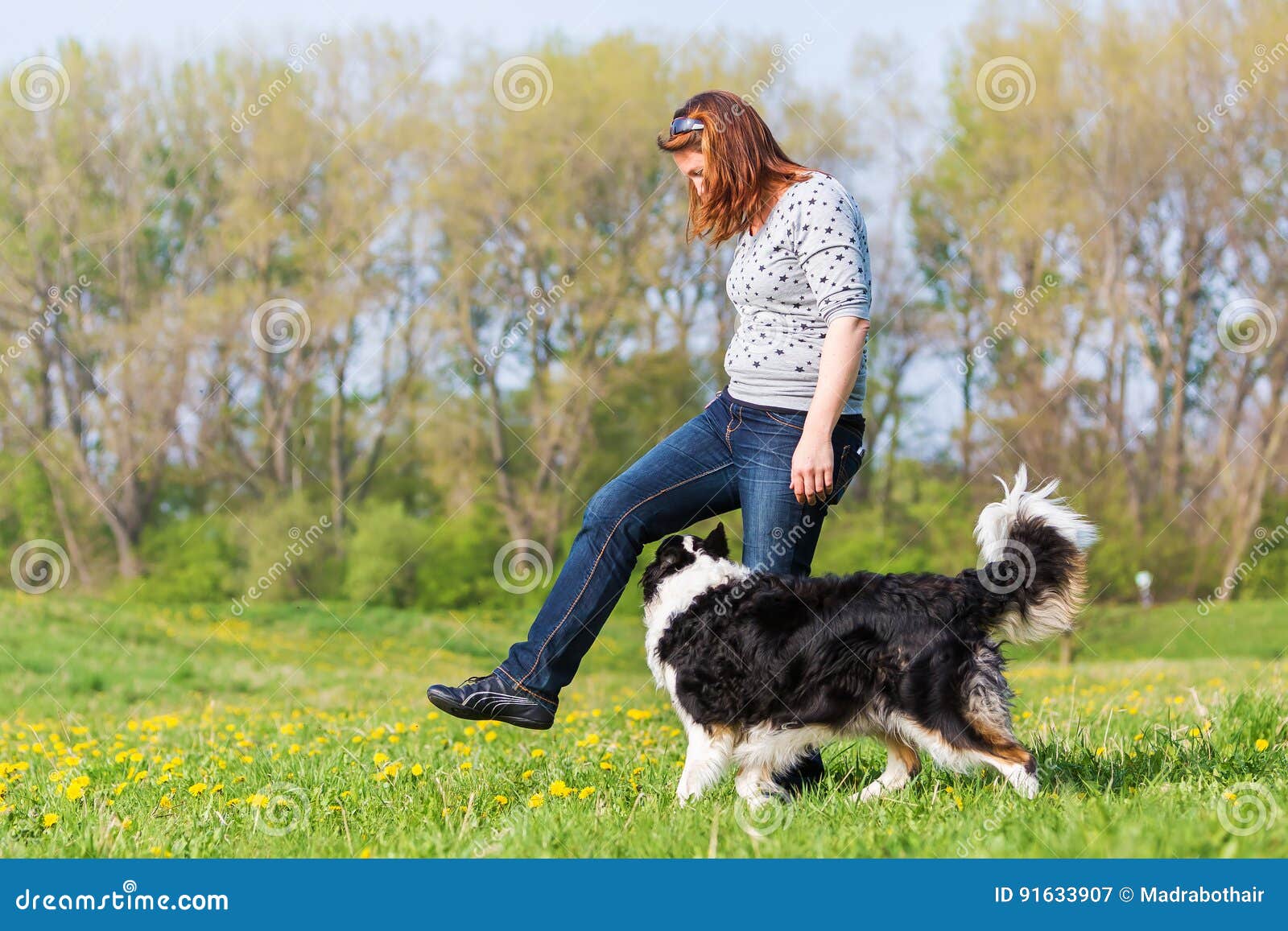 border collie dancing with woman