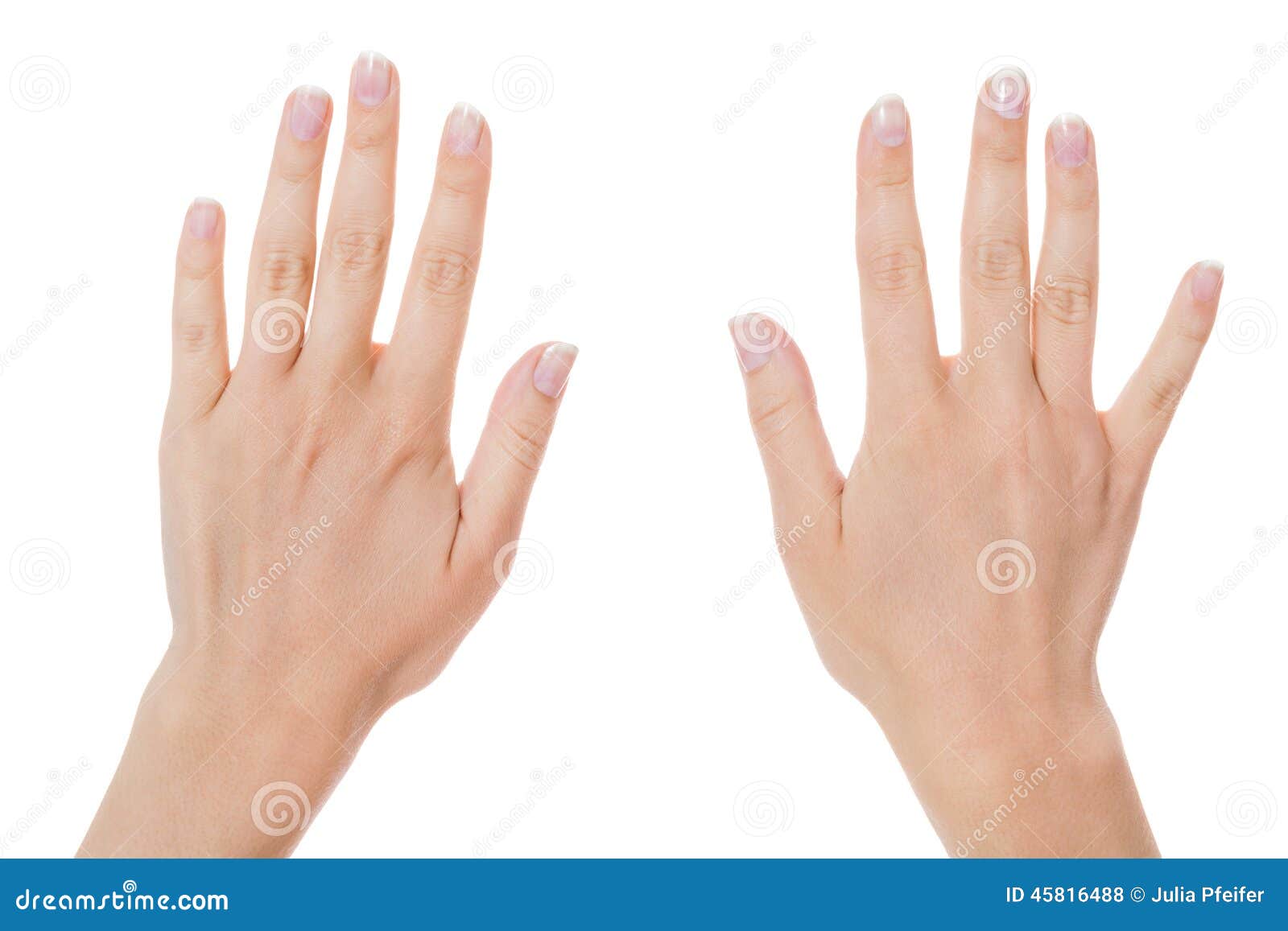 Woman with Manicured Natural Nails Stock Photo - Image of