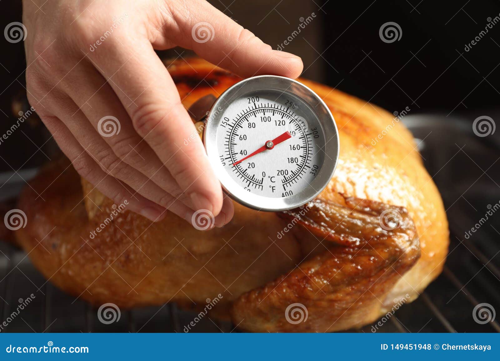 https://thumbs.dreamstime.com/z/woman-measuring-temperature-whole-roasted-turkey-meat-thermometer-closeup-149451948.jpg
