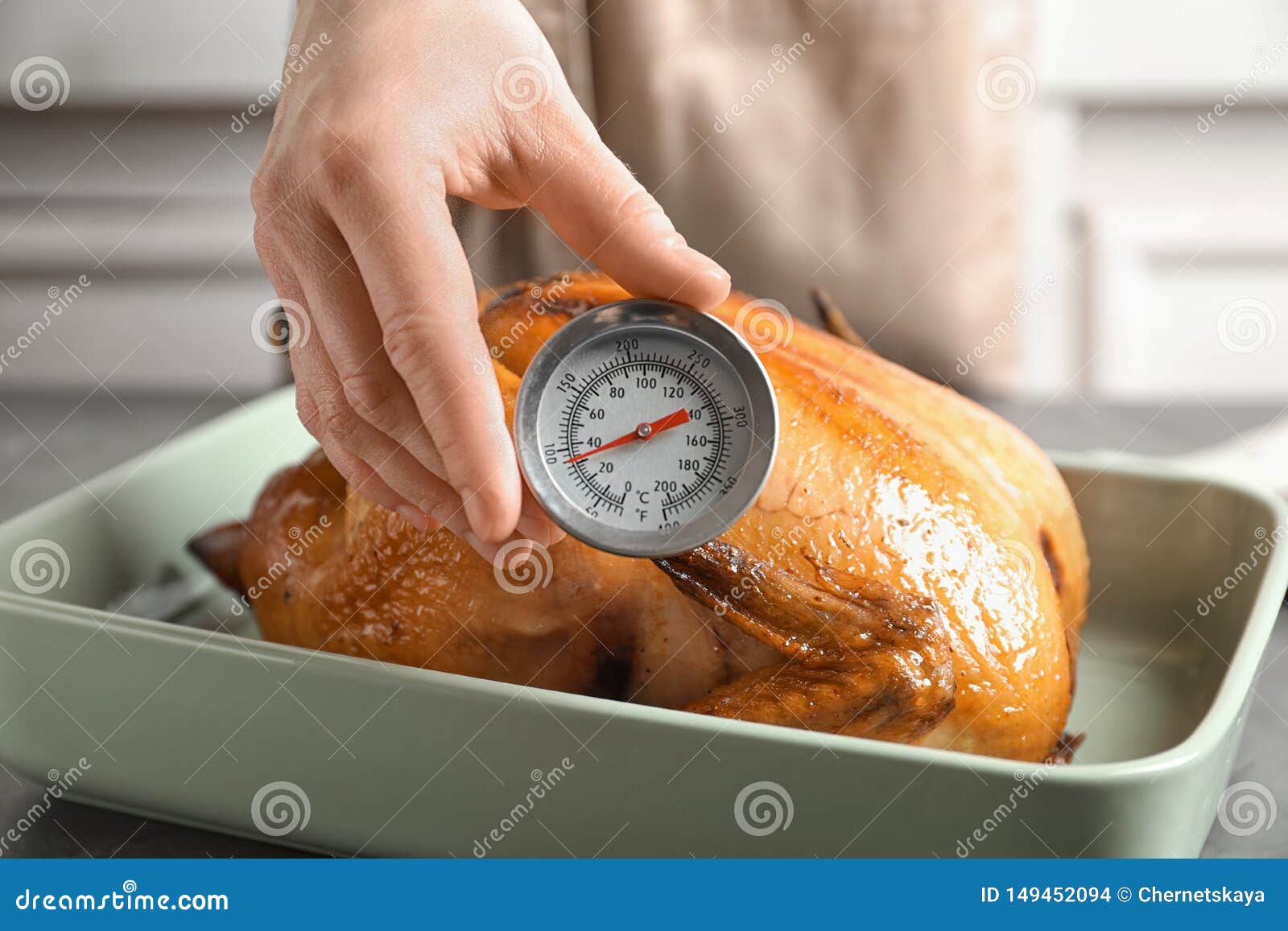 https://thumbs.dreamstime.com/z/woman-measuring-temperature-whole-roasted-turkey-meat-thermometer-closeup-149452094.jpg