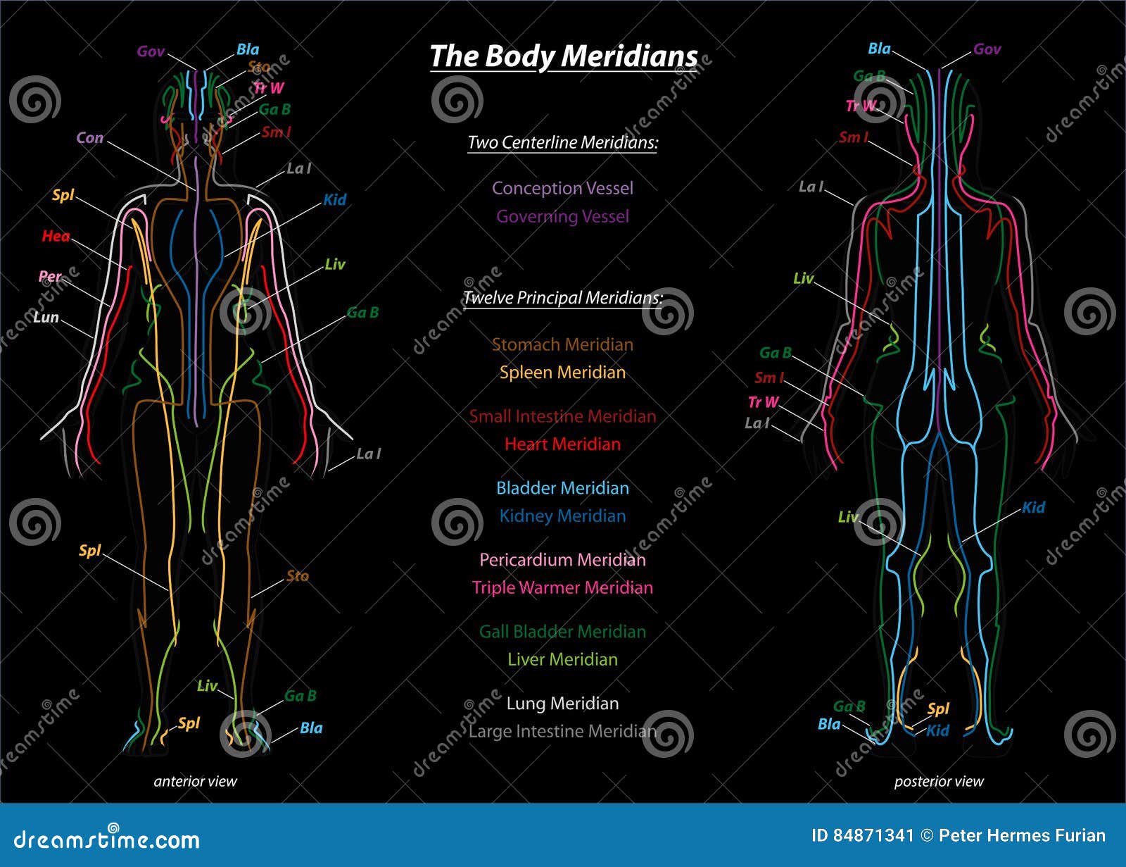 Meridian System Chart