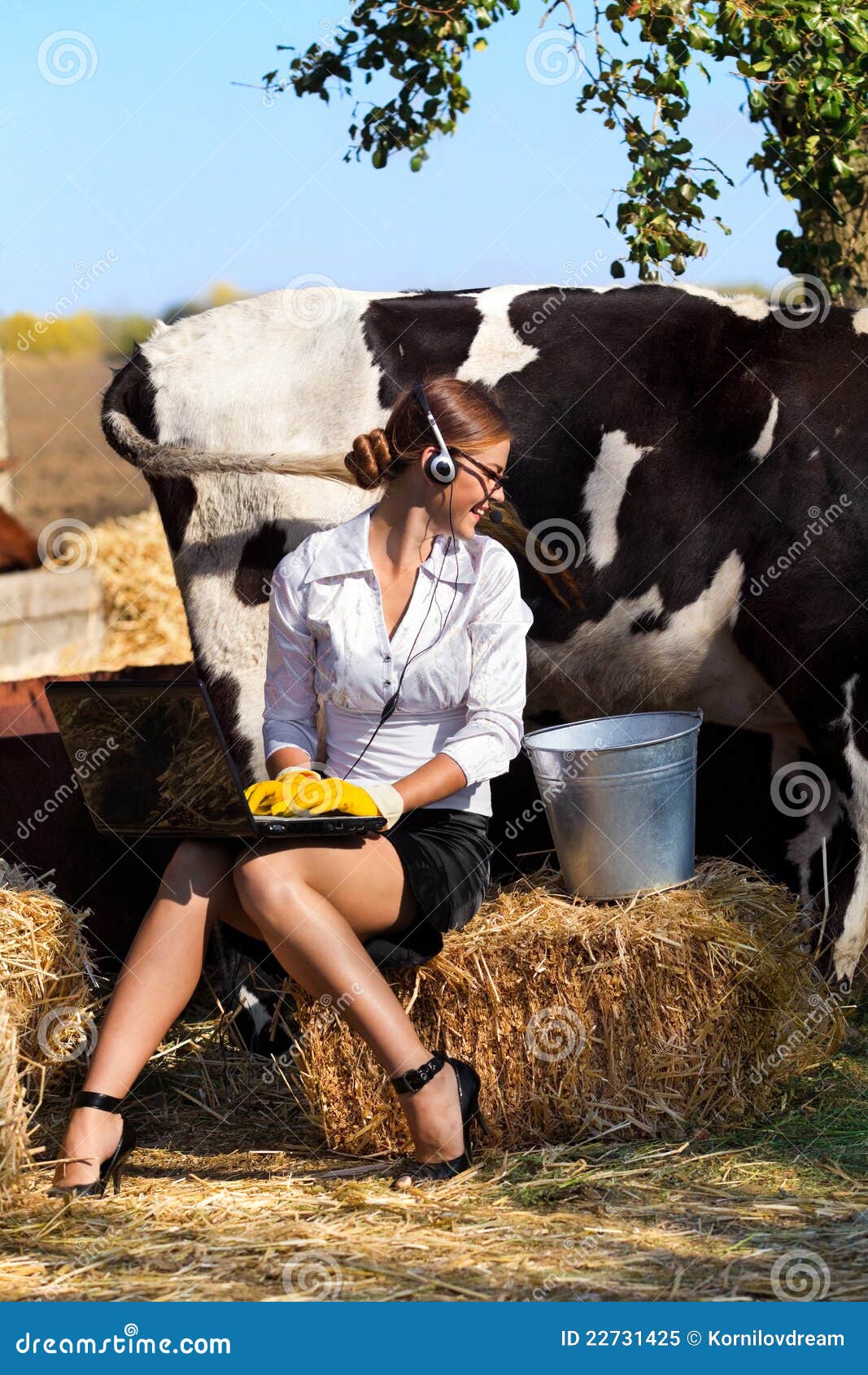 Woman milking cow stock image. Image of food, farming 22731425