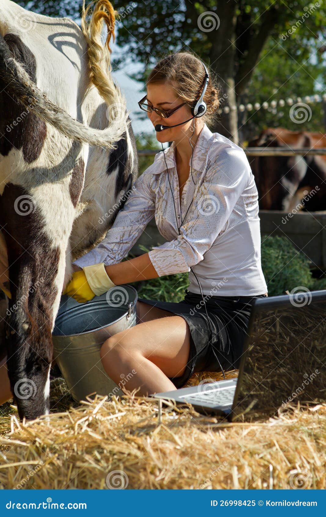 Woman Milking Cow Stock Image Image Of Breeder M