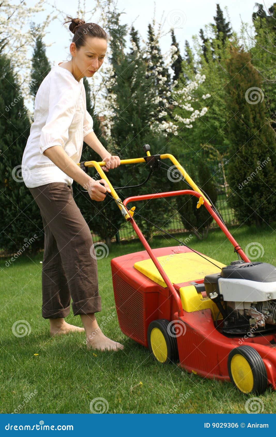 https://thumbs.dreamstime.com/z/woman-mowing-grass-9029306.jpg