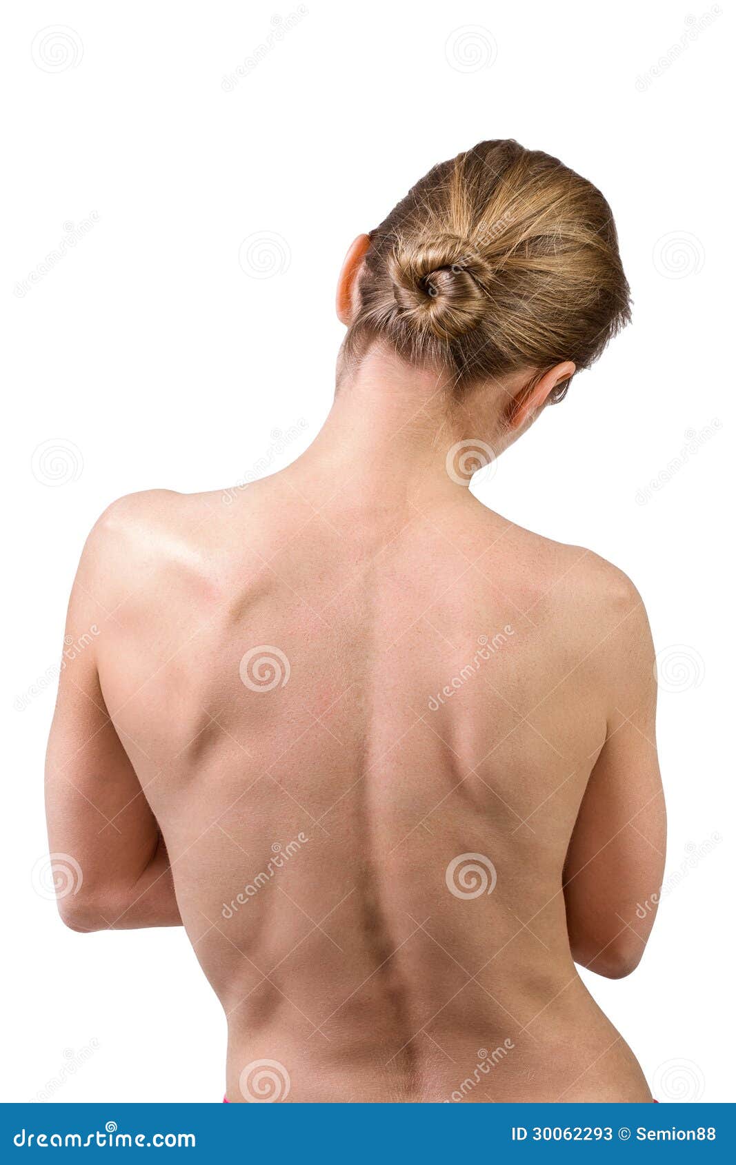 Woman muscular back stock image. Image of rear, female - 30062293