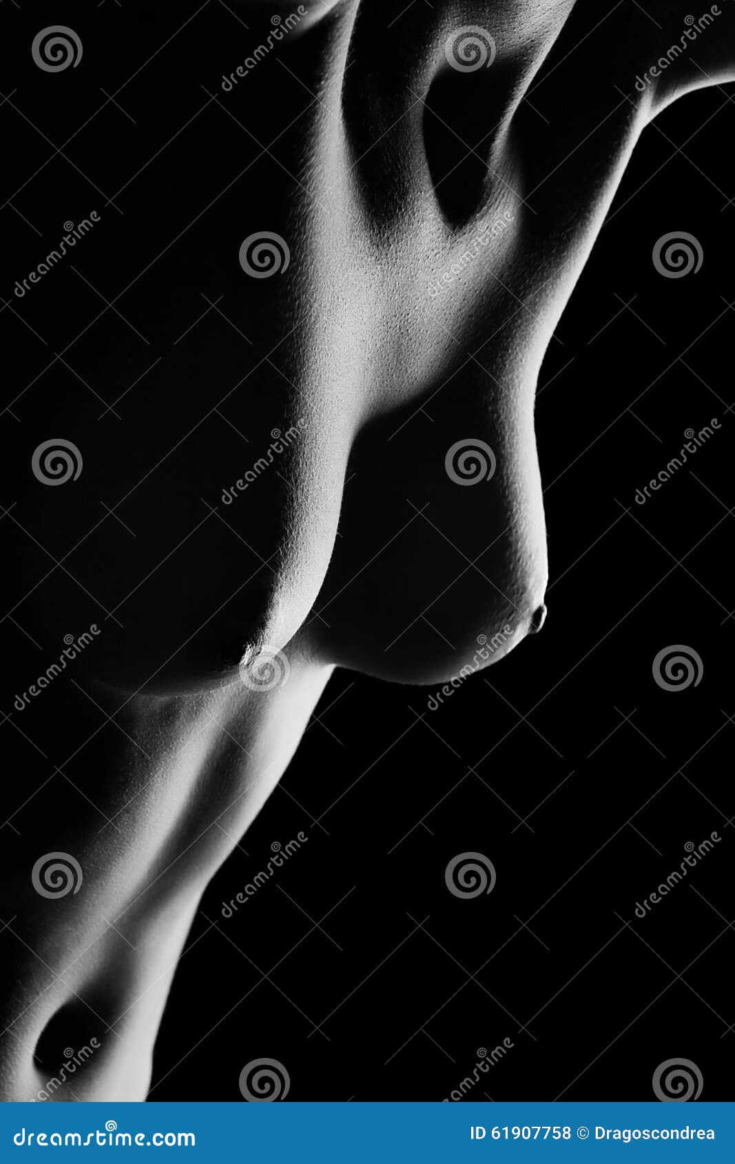 Black Tits Vs White Tits - Woman Naked Breasts in Black and White Image Stock Photo - Image of  perfection, dark: 61907758