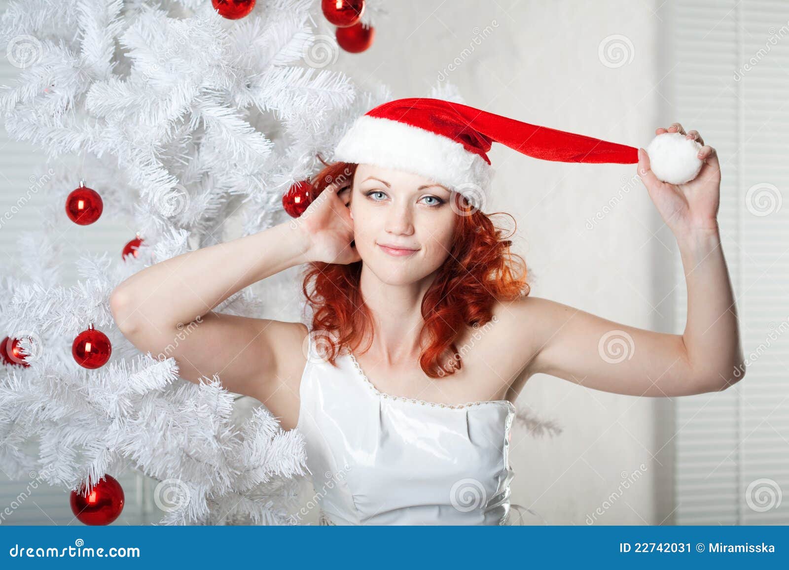 Woman in a New Year S Costume Stock Image Image of cute, glamour