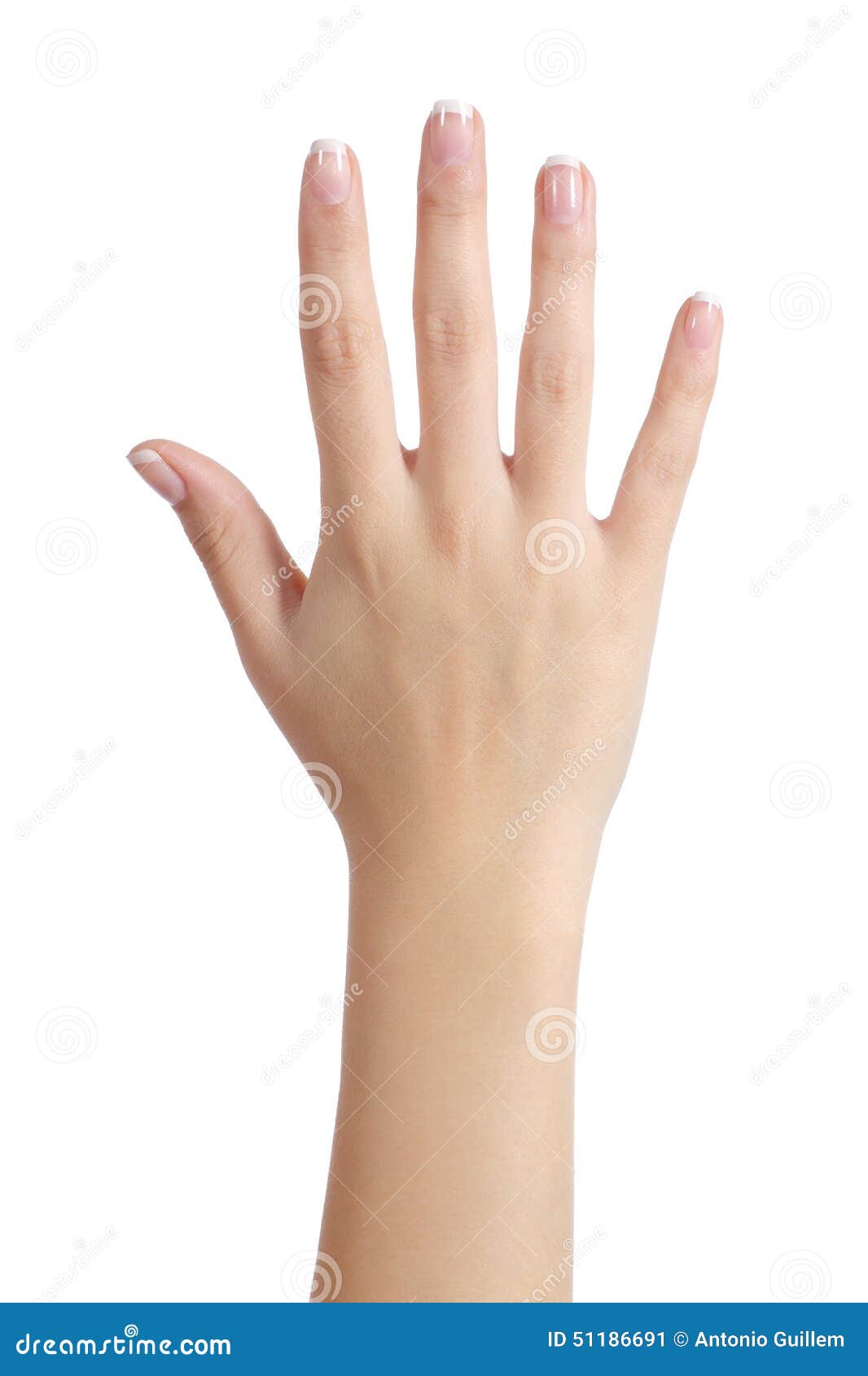 woman open hand with french manicure