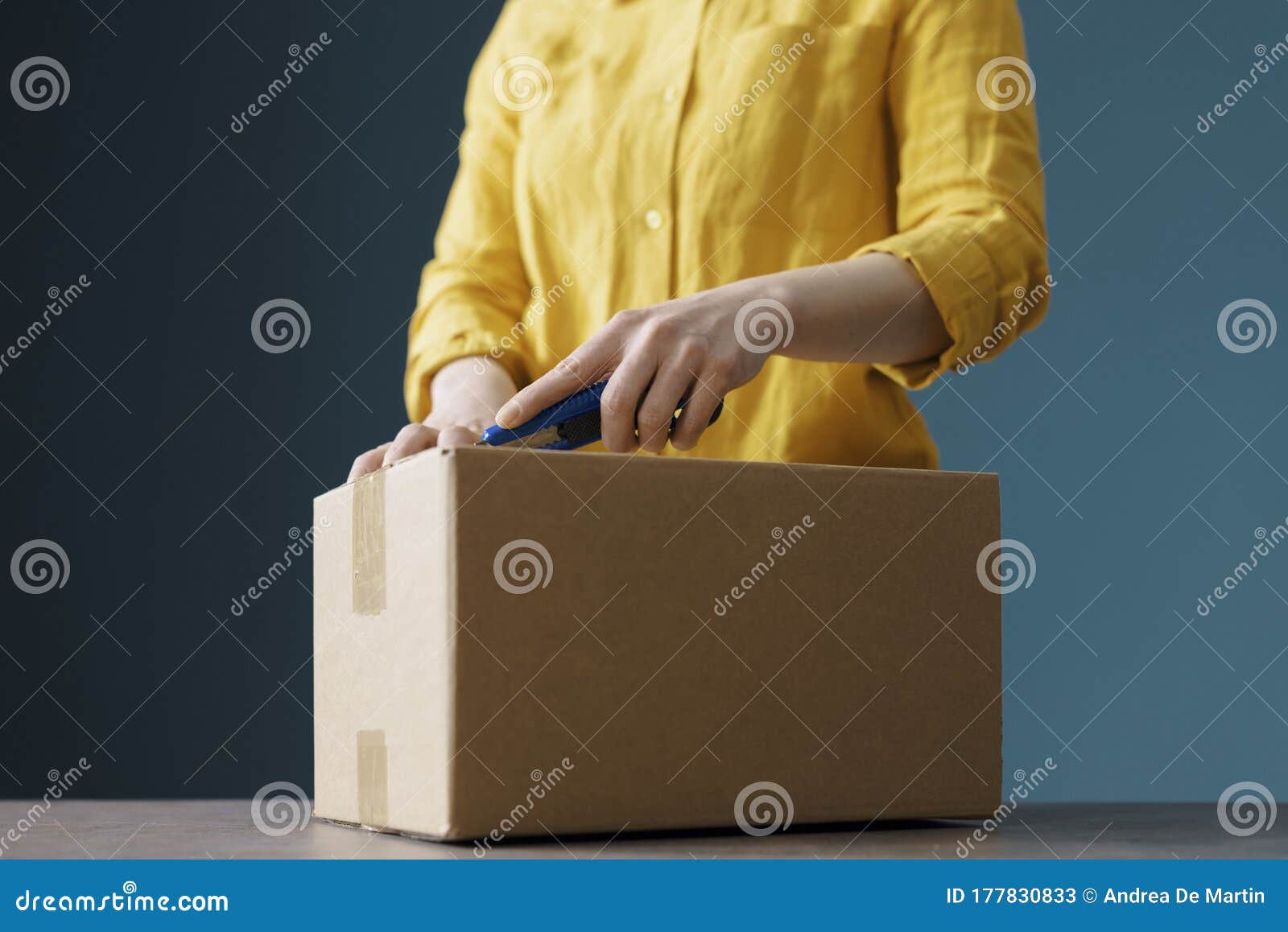 Woman Opening a Delivery Box Stock Image Image of service, brown